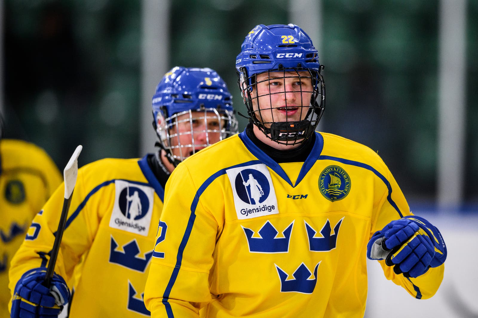 (24503) Karl Sterner