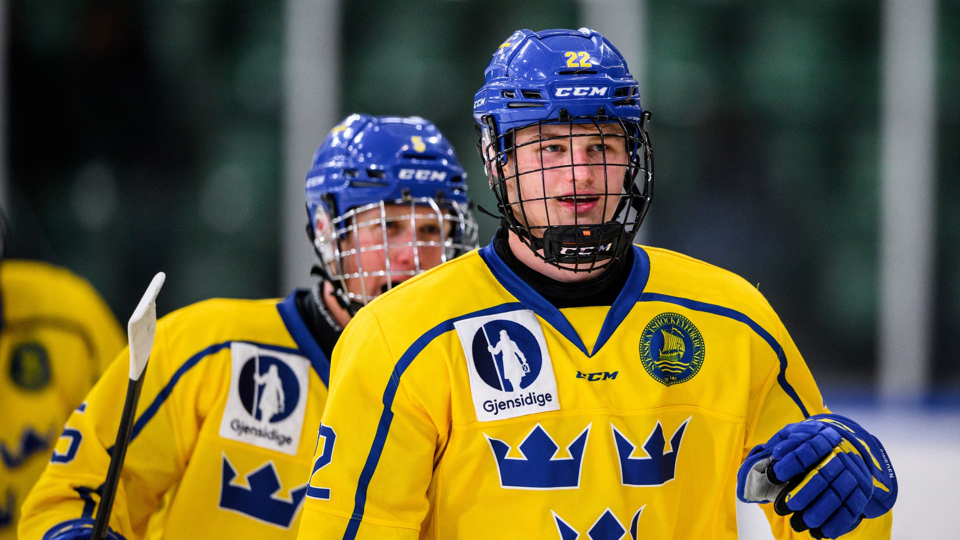 (24503) Karl Sterner