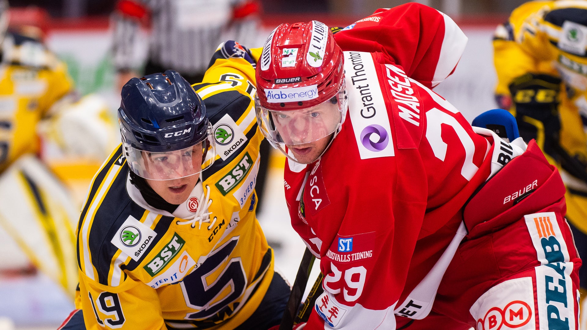 (11348) Morten Madsen