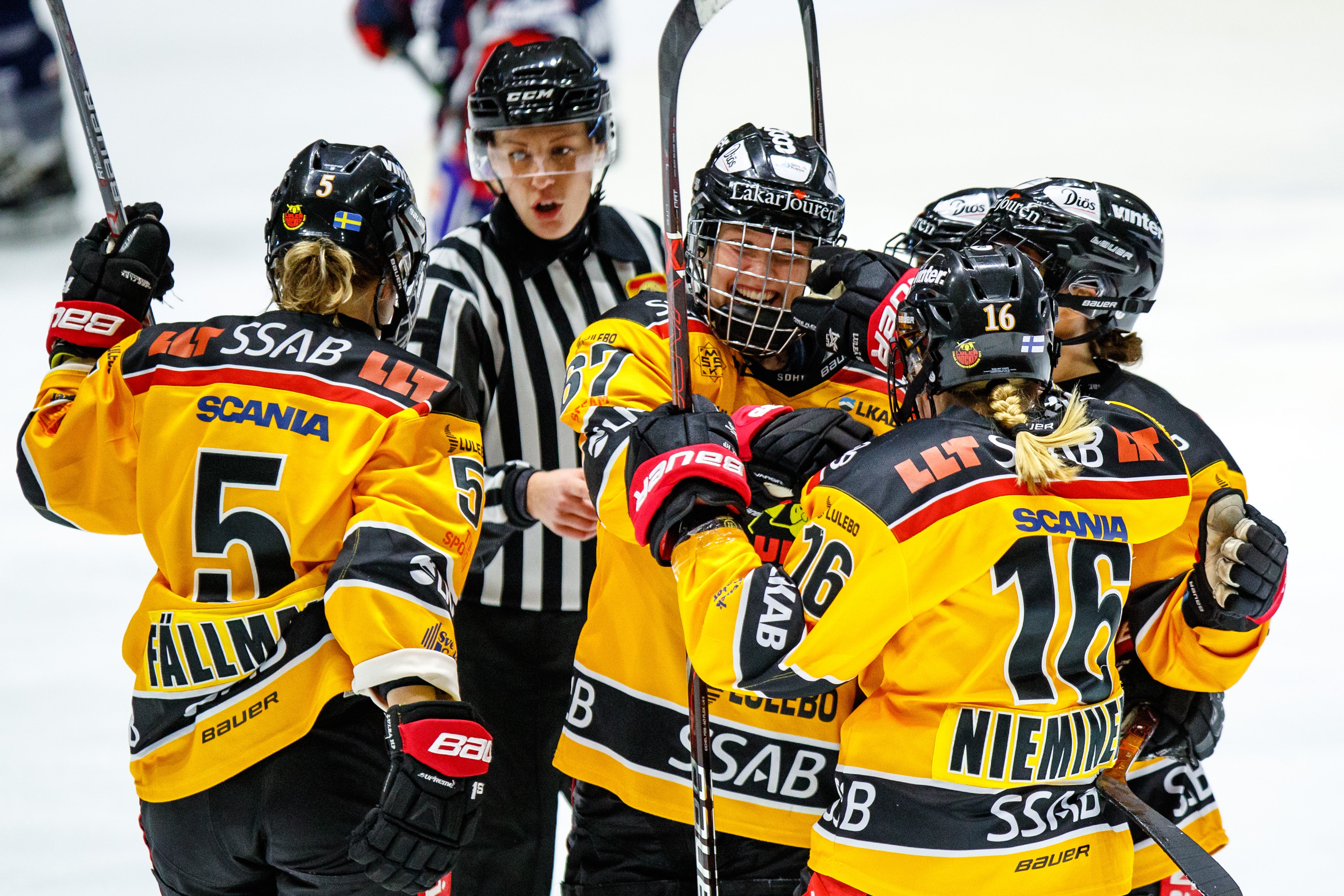 (7343) Luleå