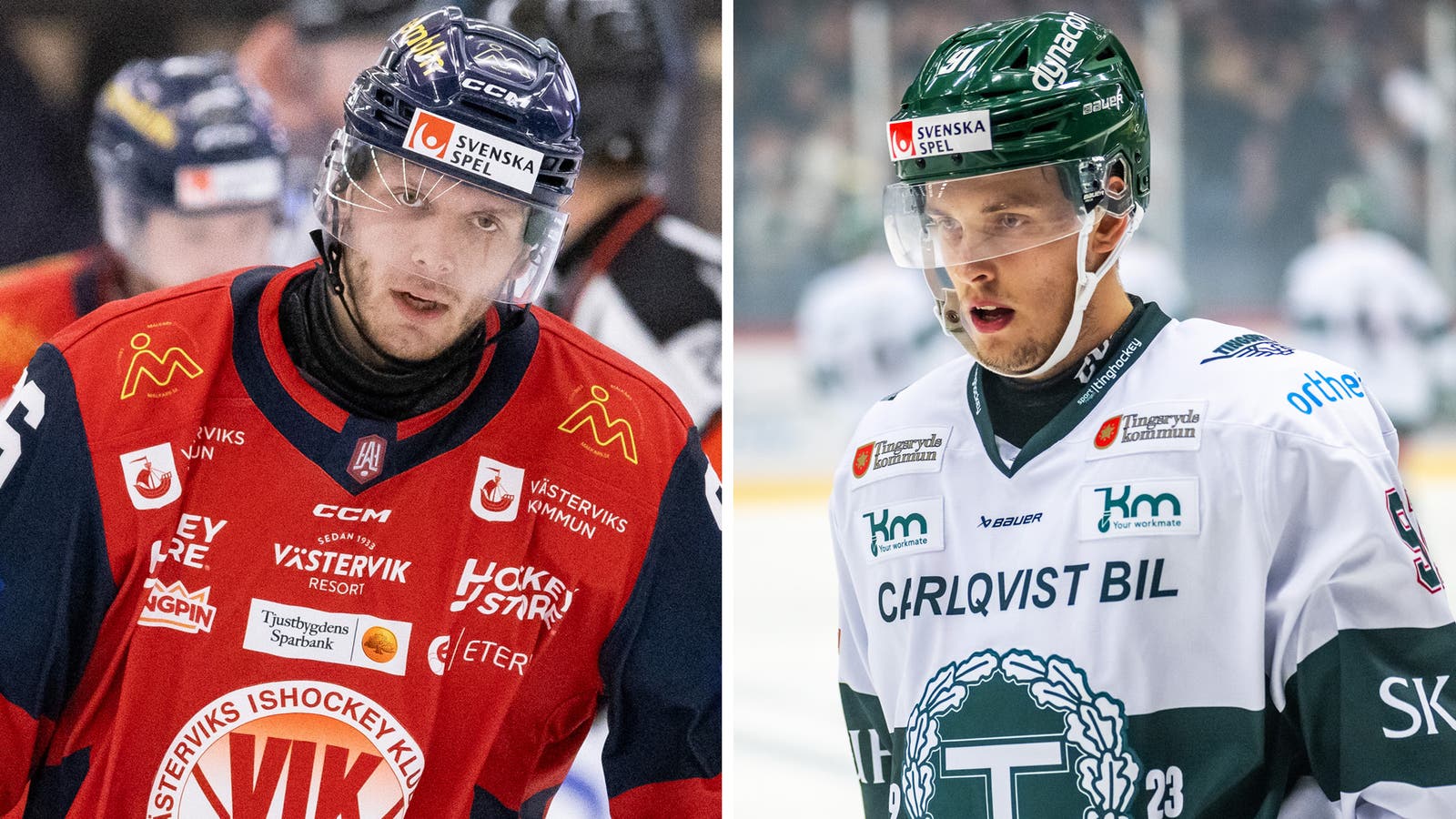 (29359) Vaclav Karabacek-Anton Lundmark