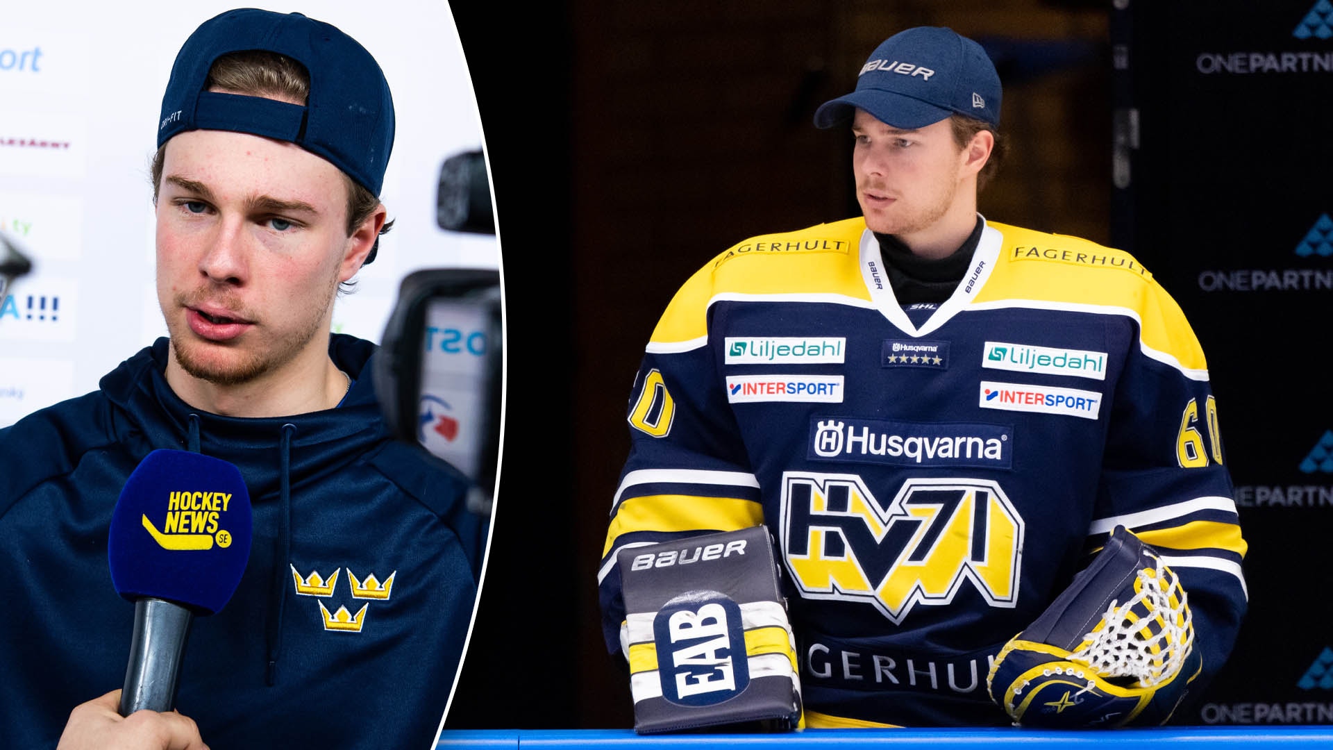 (19585) Hugo Alnefelt