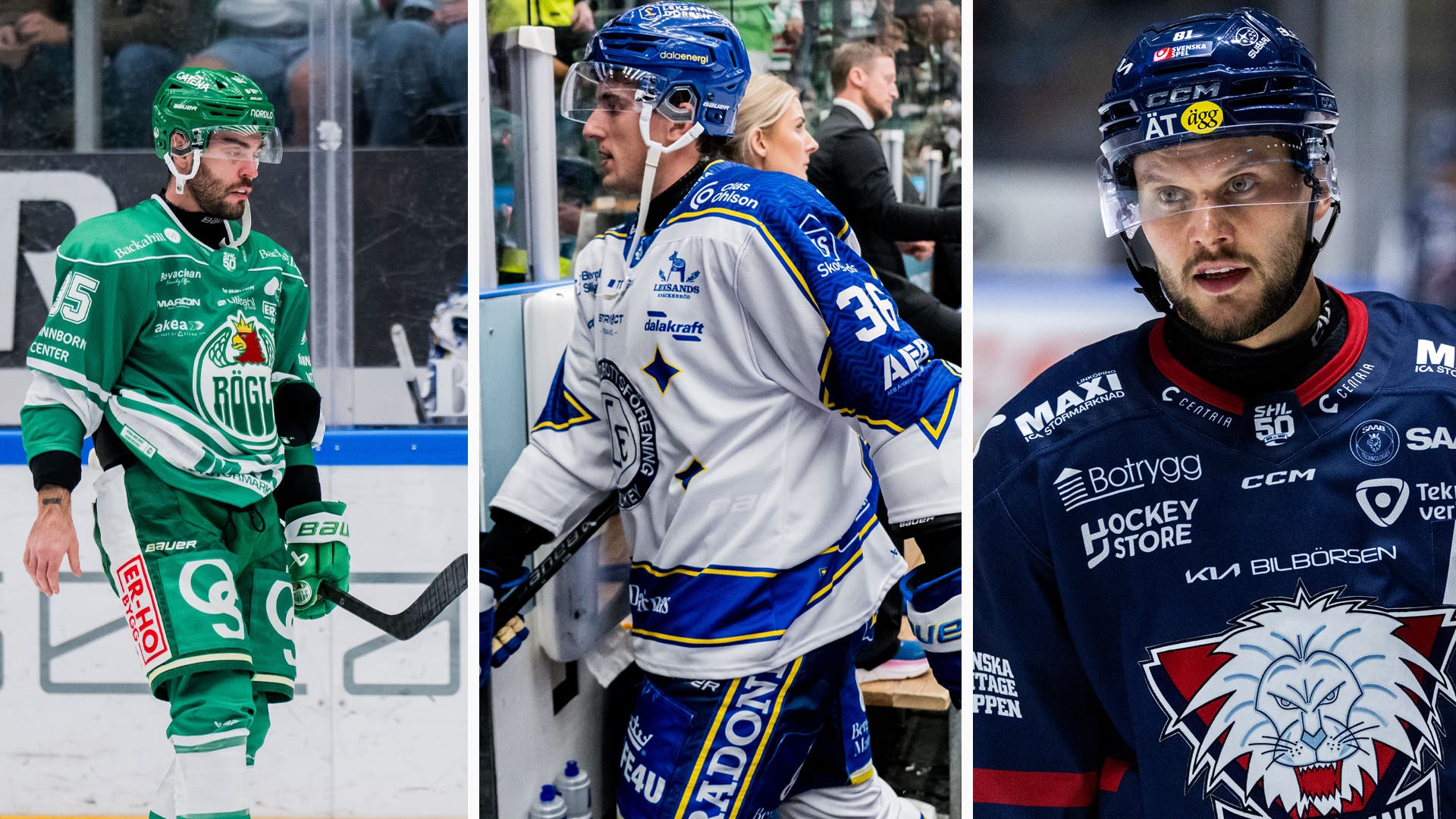SHL avstängda