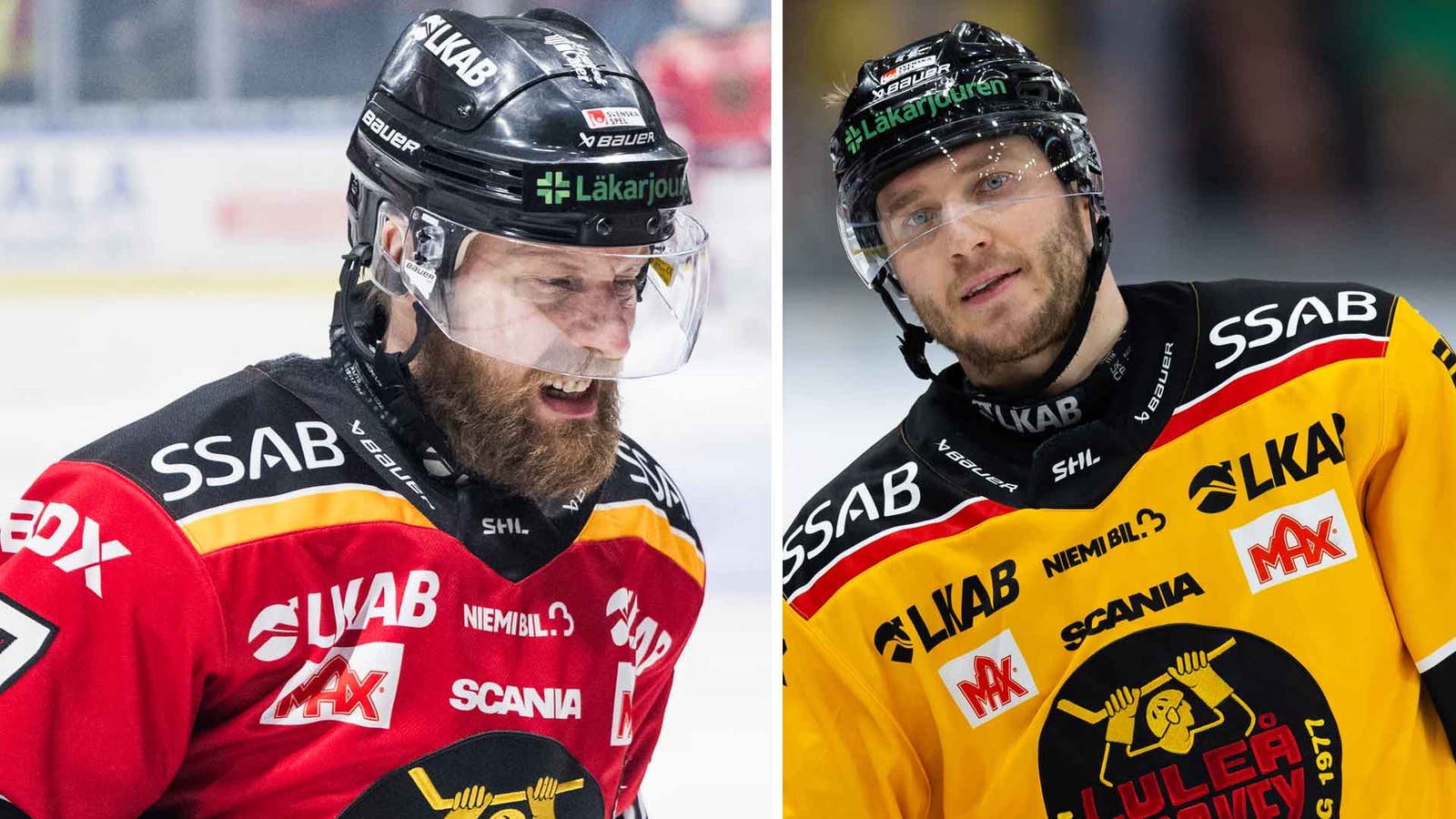 LInus Omark, Anton Levtchi