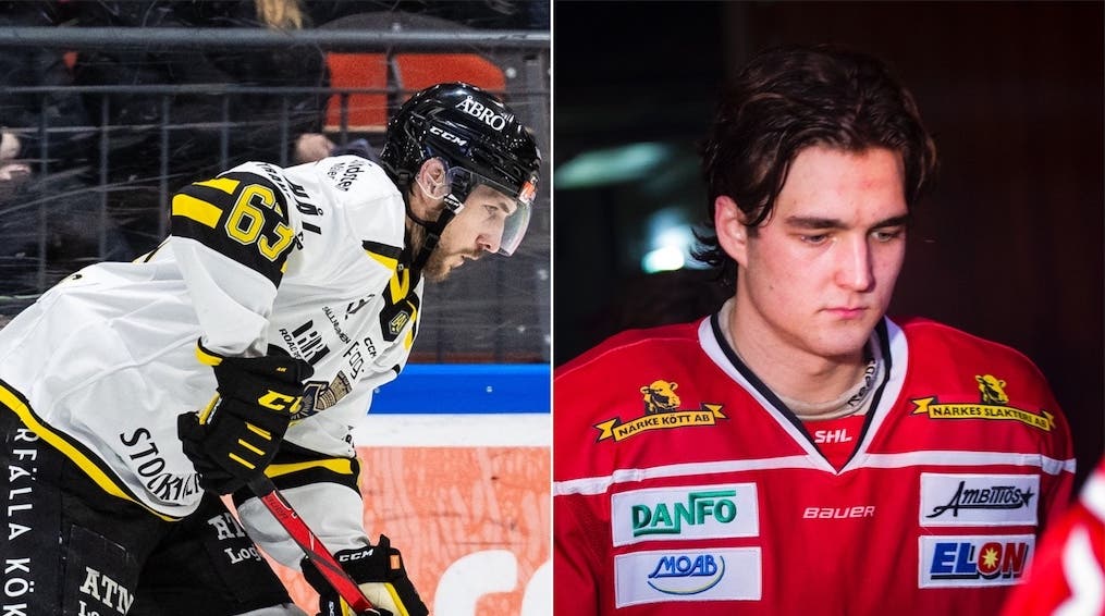 (29958) Wahlberg Henriksson