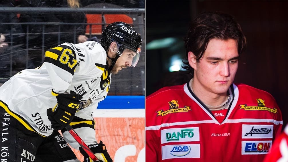 (29958) Wahlberg Henriksson