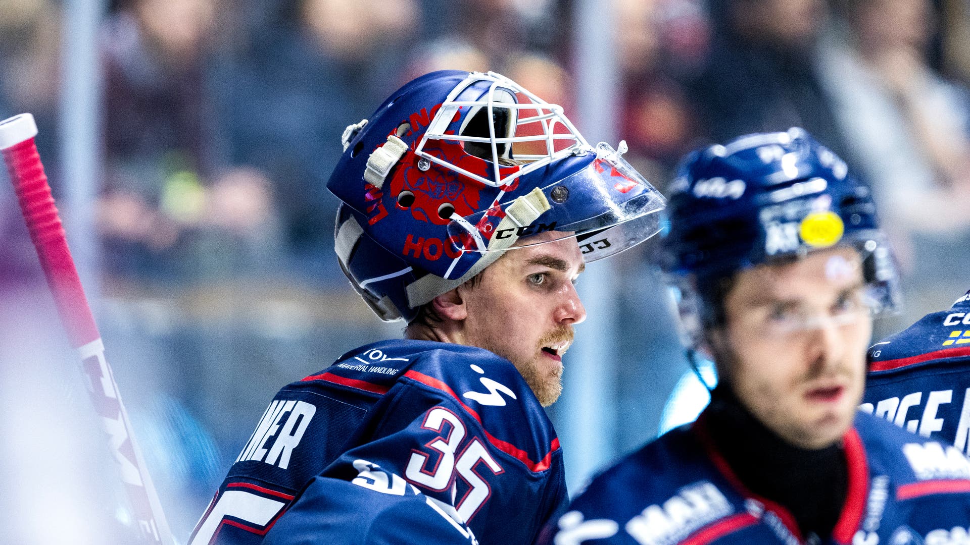 Adam Werner