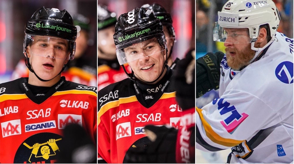 (13350) Luleå-genomgång silly SHL