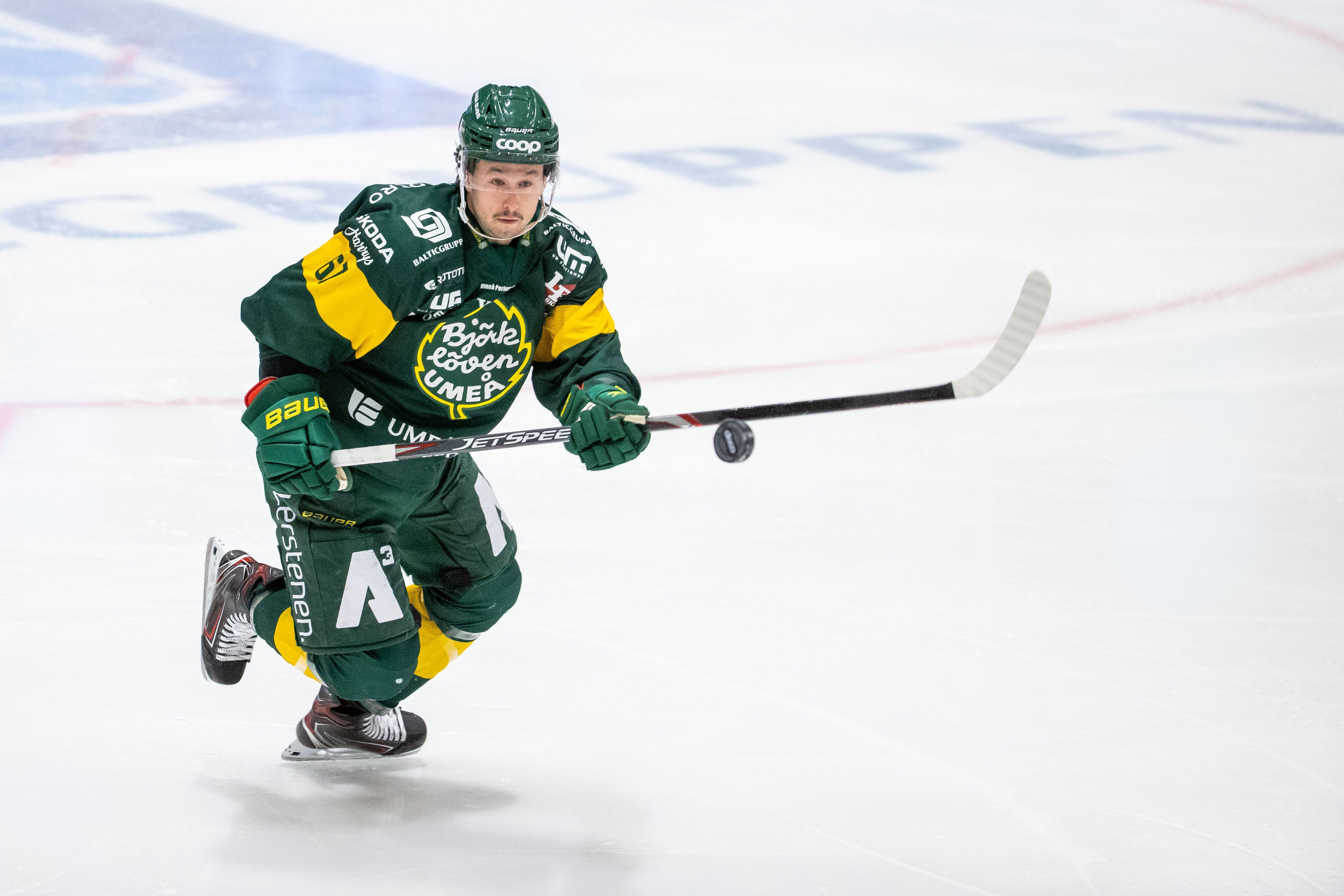 (18464) Francis Perron/Björklöven