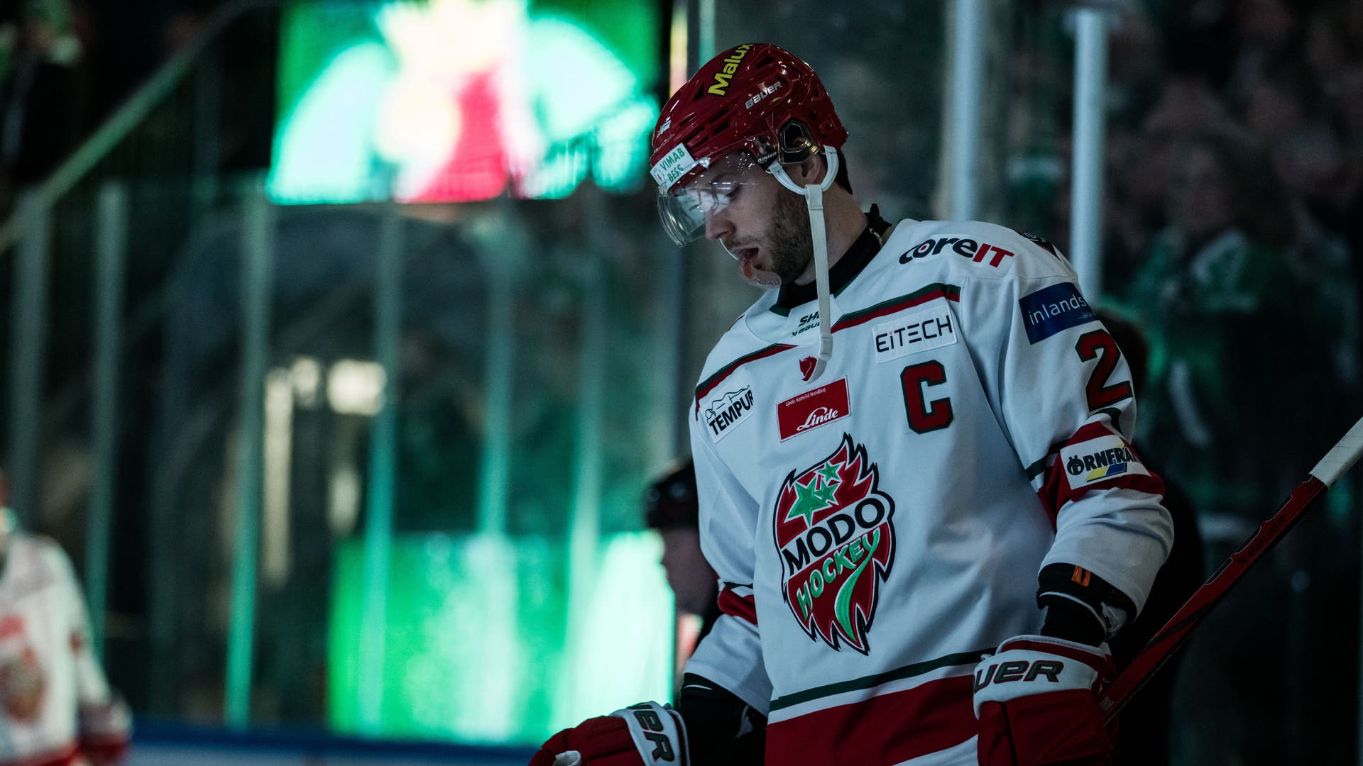 David Rundblad
