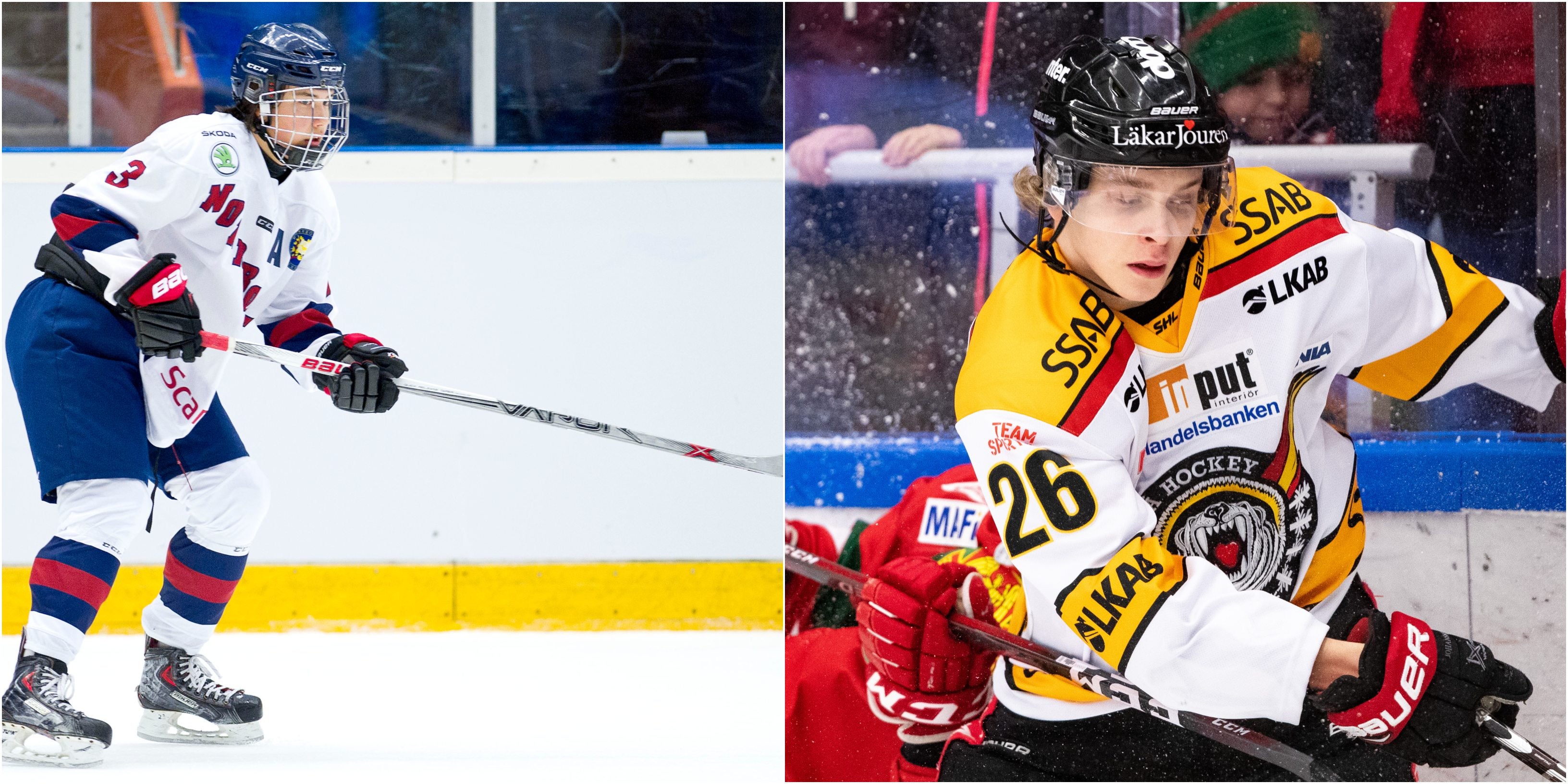 (8390) Luleås talanger