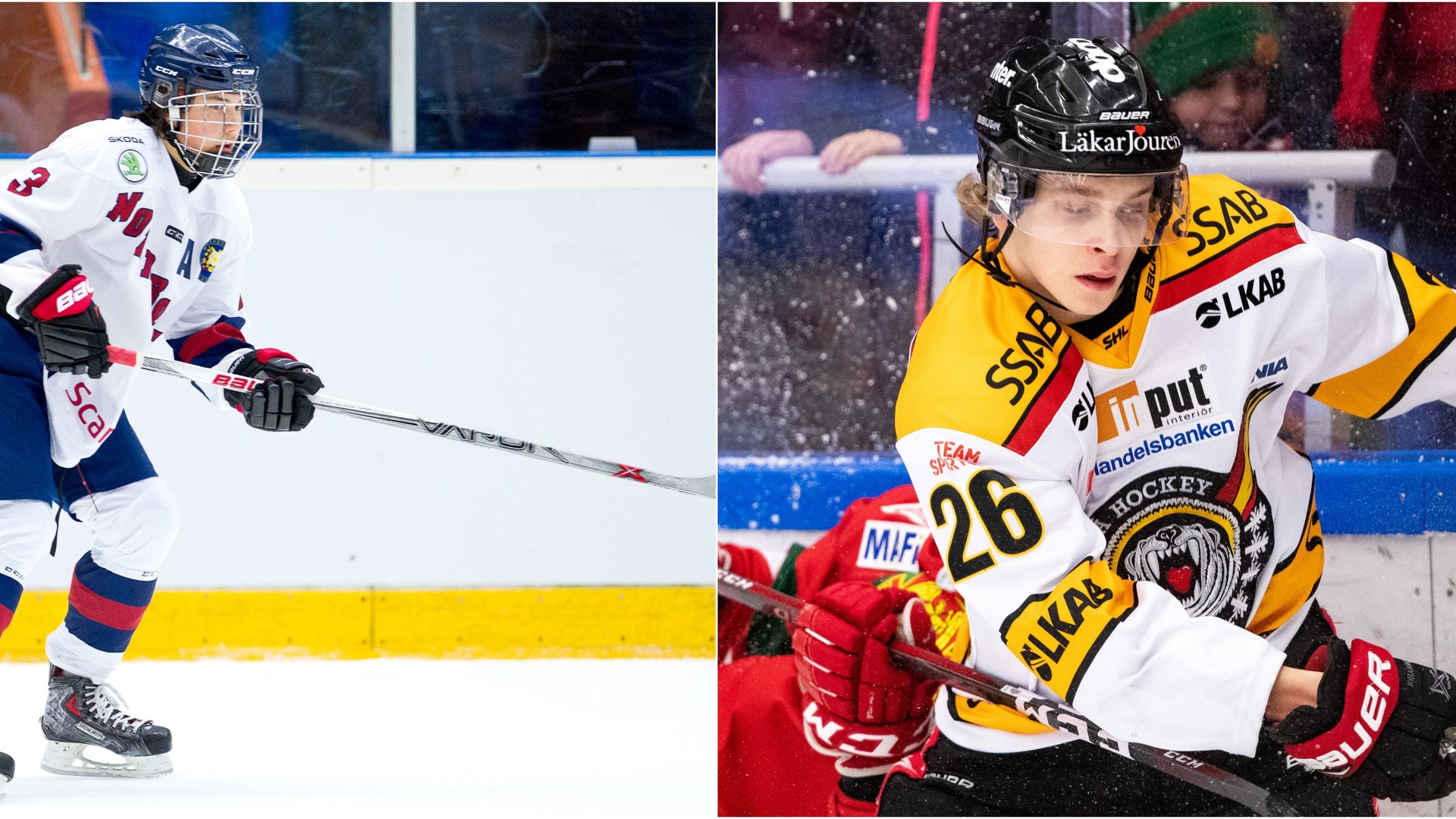 (8390) Luleås talanger