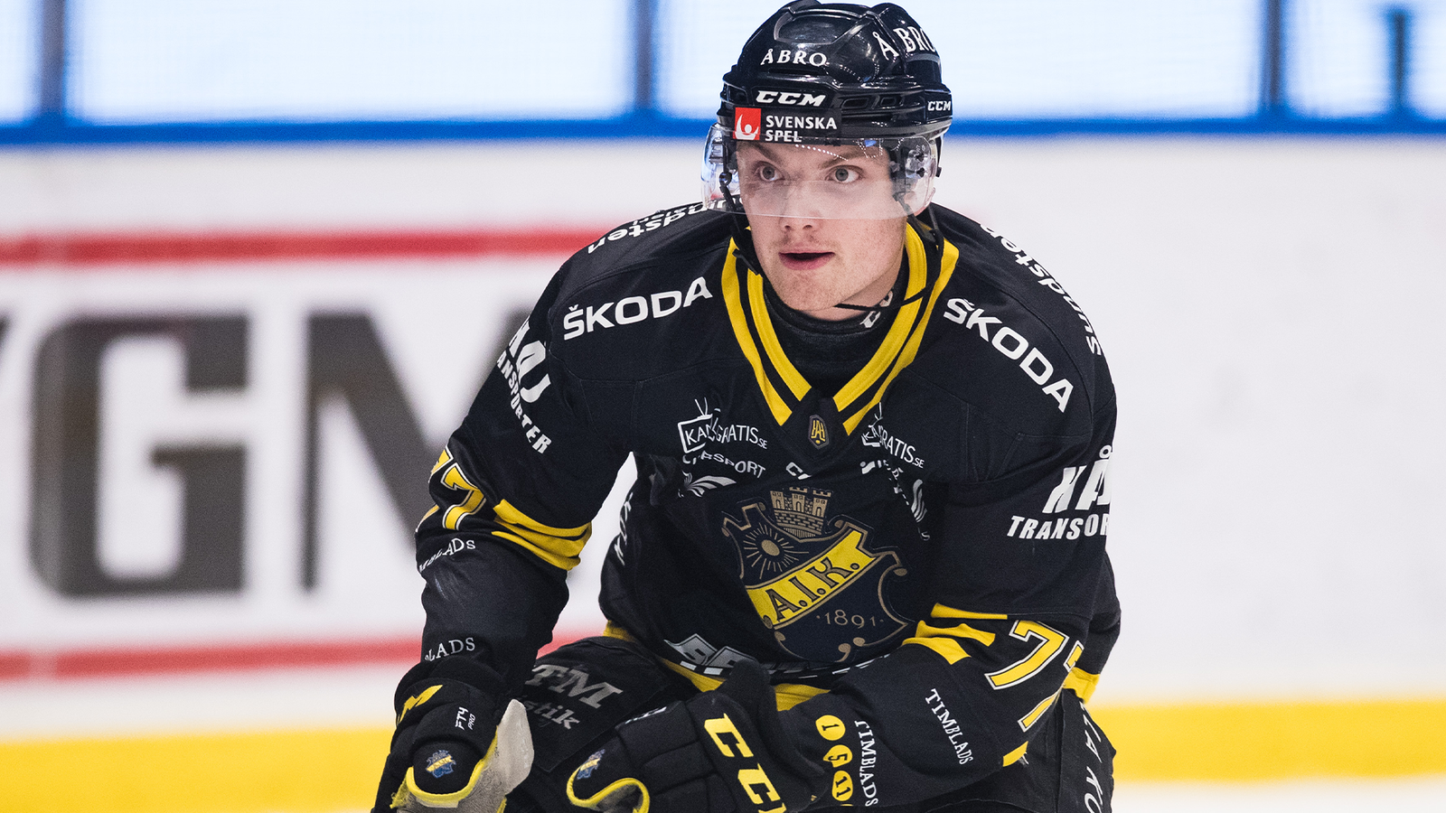 (31963) William Ignberg Nilsson