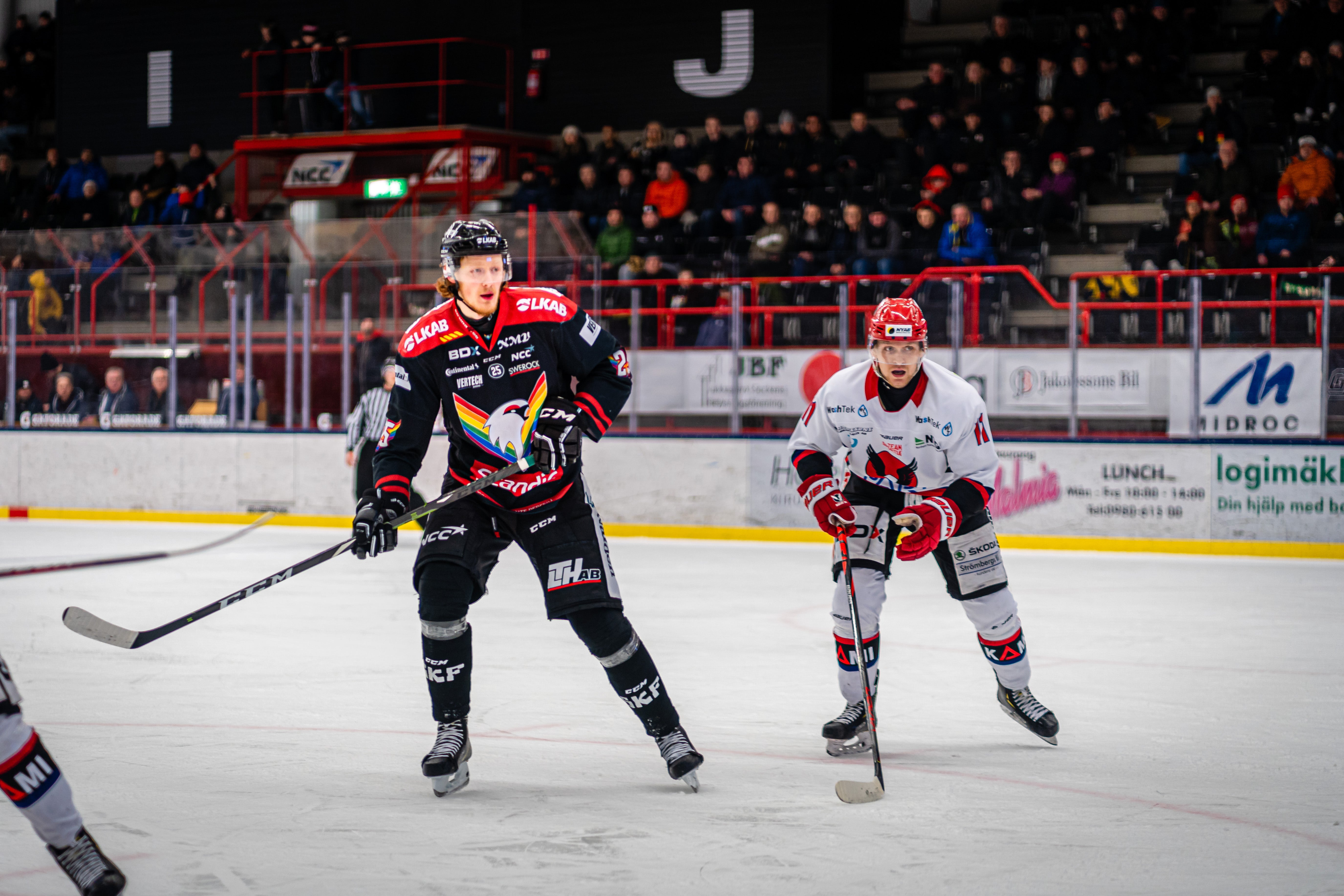 (11645) William Otter