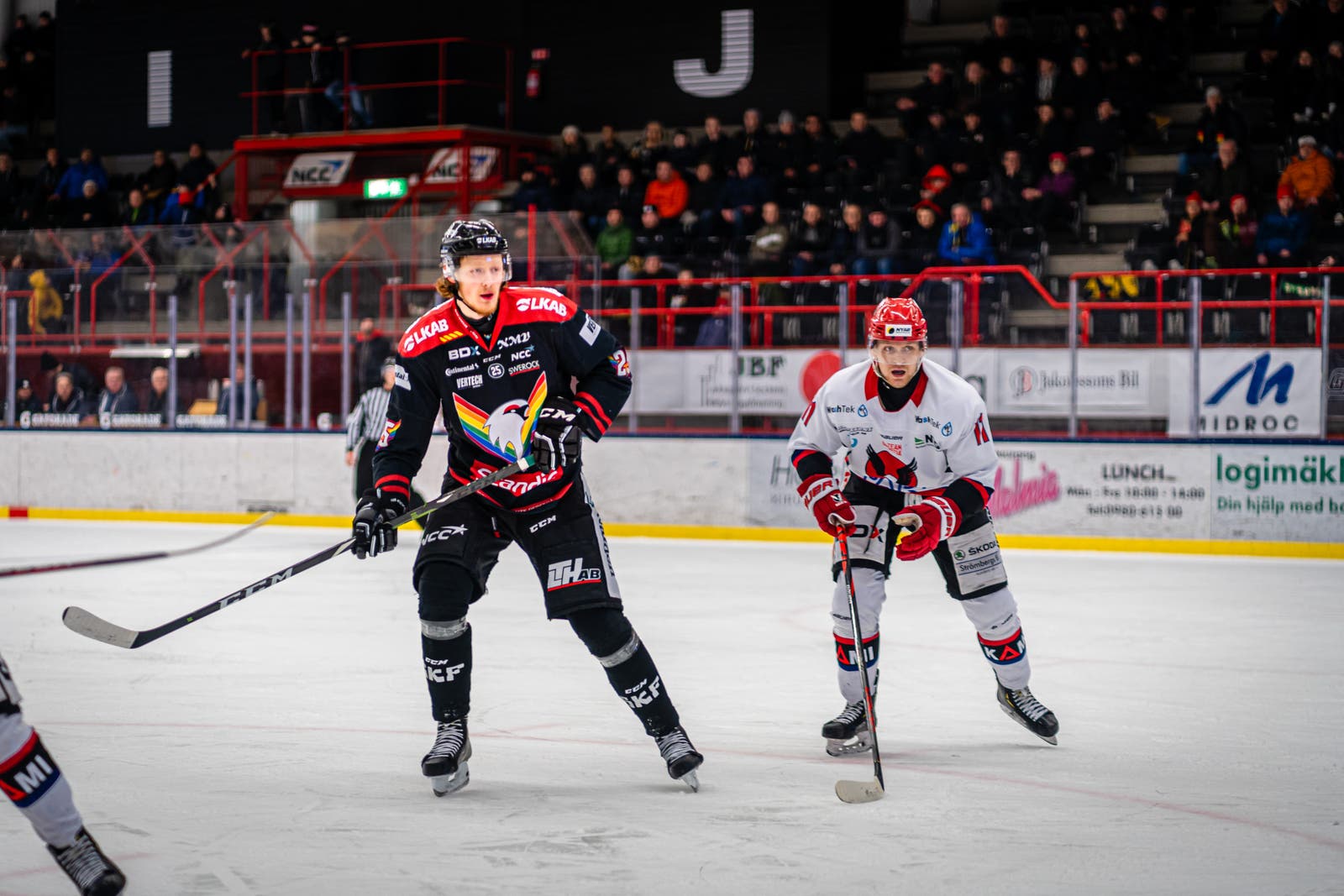 (11645) William Otter