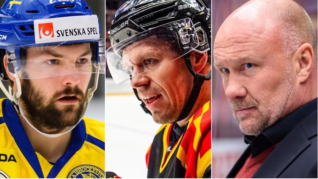 (13295) Bertilsson/Danielsson/Andersson