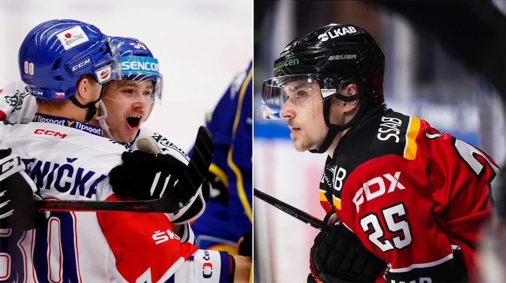 (29150) Patrik Zdrahal