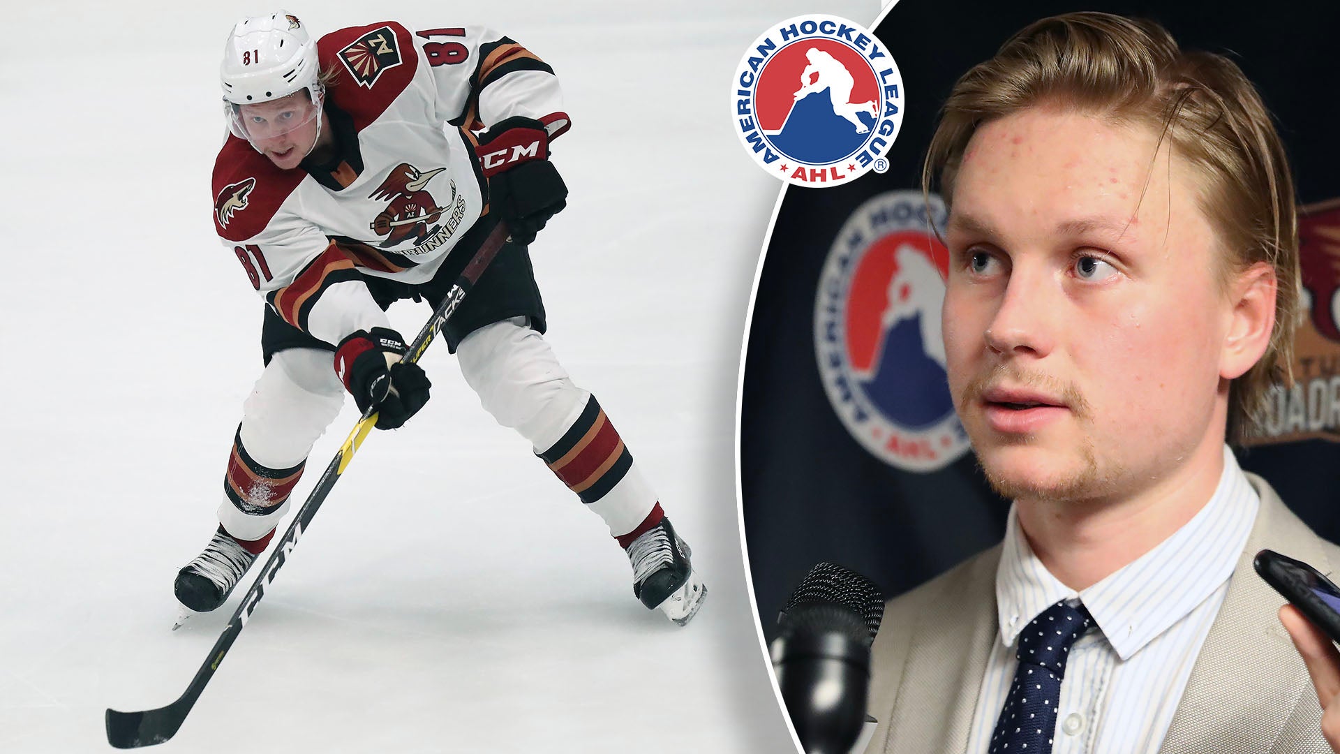 Tucson Roadrunners