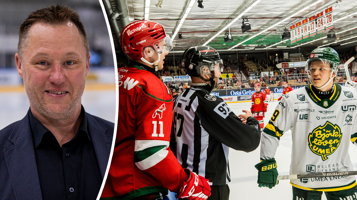 Ryman Hockeyallsvenskan