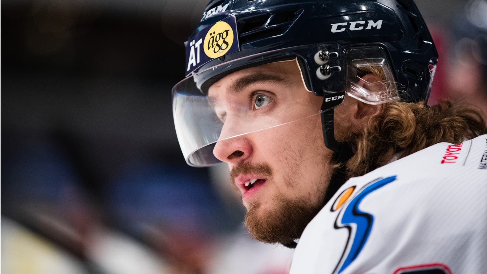 (6775) Adam Brodecki