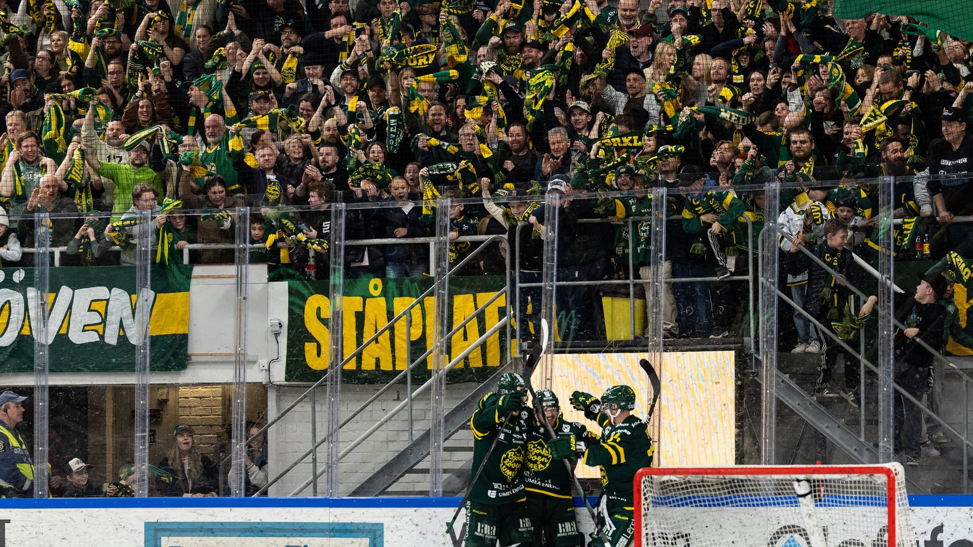 björklöven seger