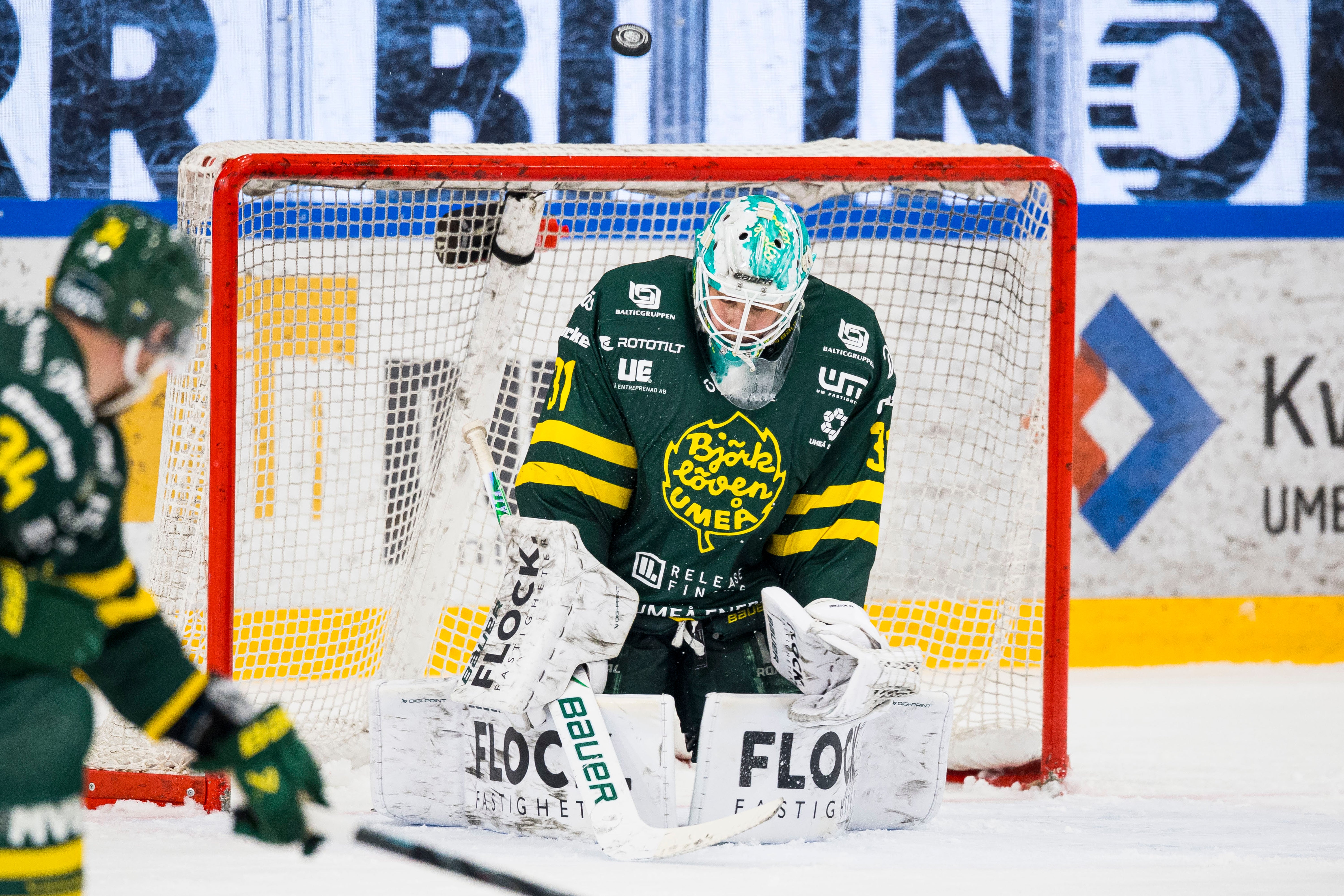 Björklöven olle eriksson ek