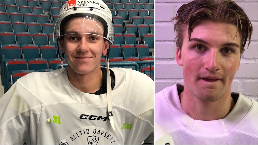 Mattias Ek/HockeyNews