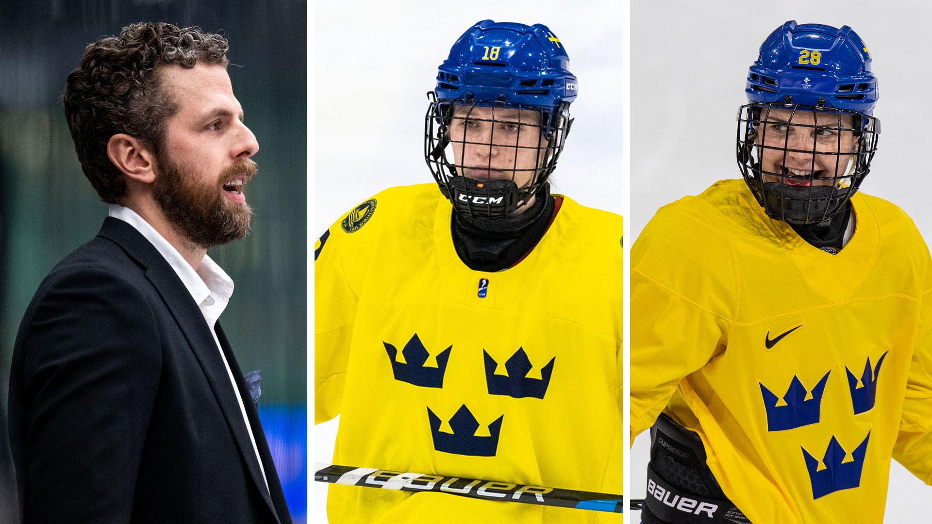 (26353) Damkronorna 3-delad