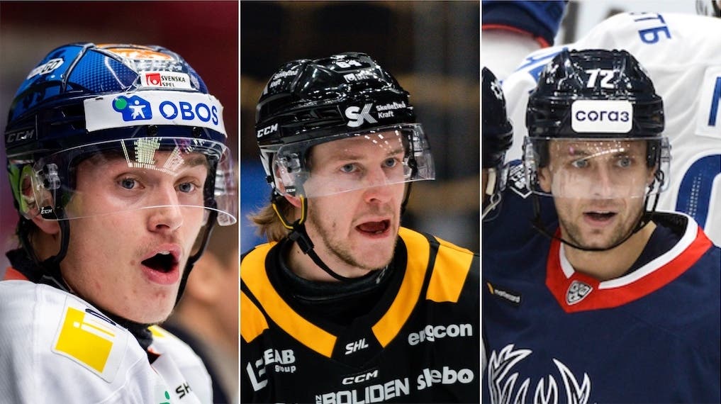 (22016) Holmberg Pudas Zaar