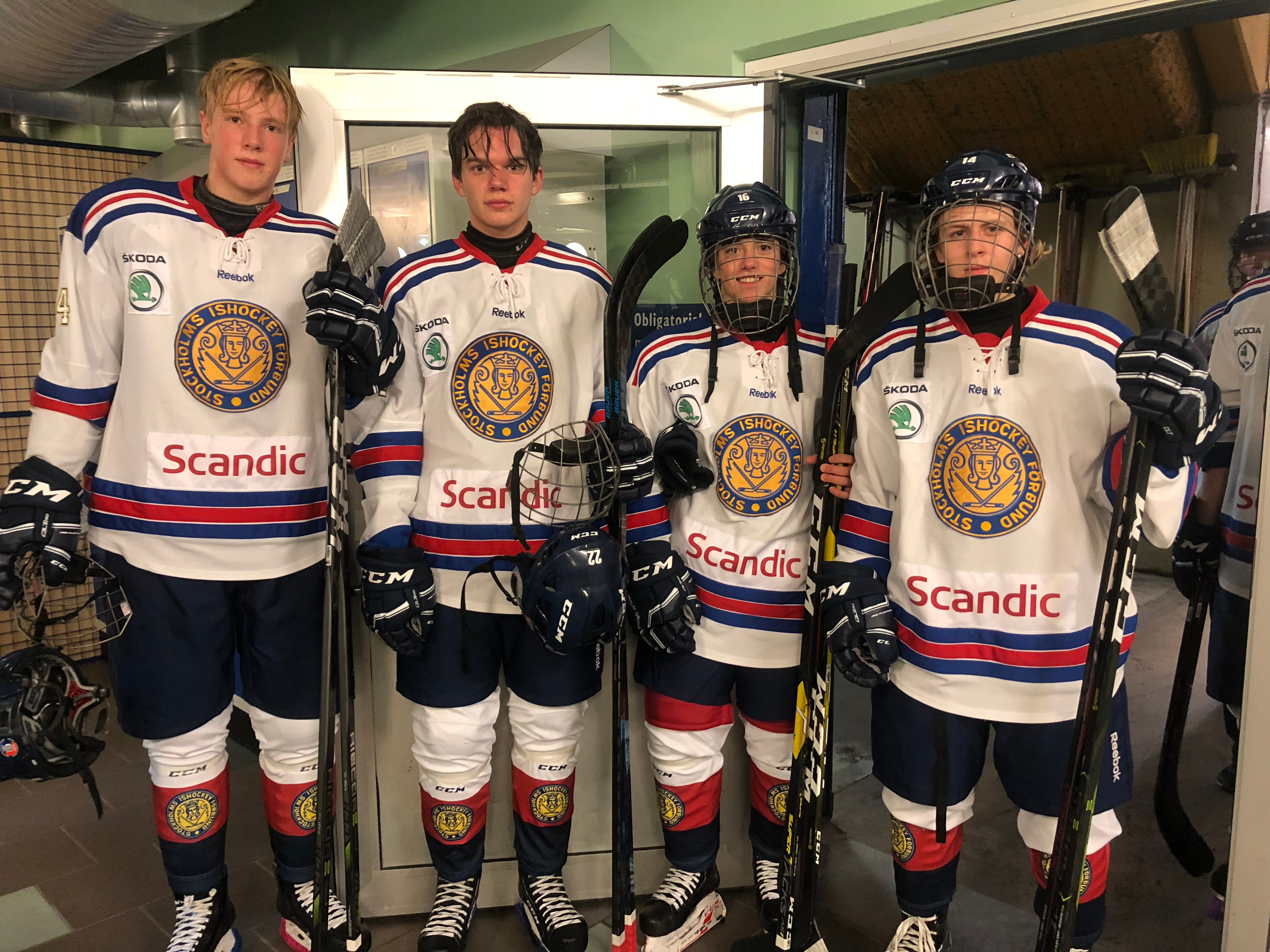 (4743) Stockholm Syd