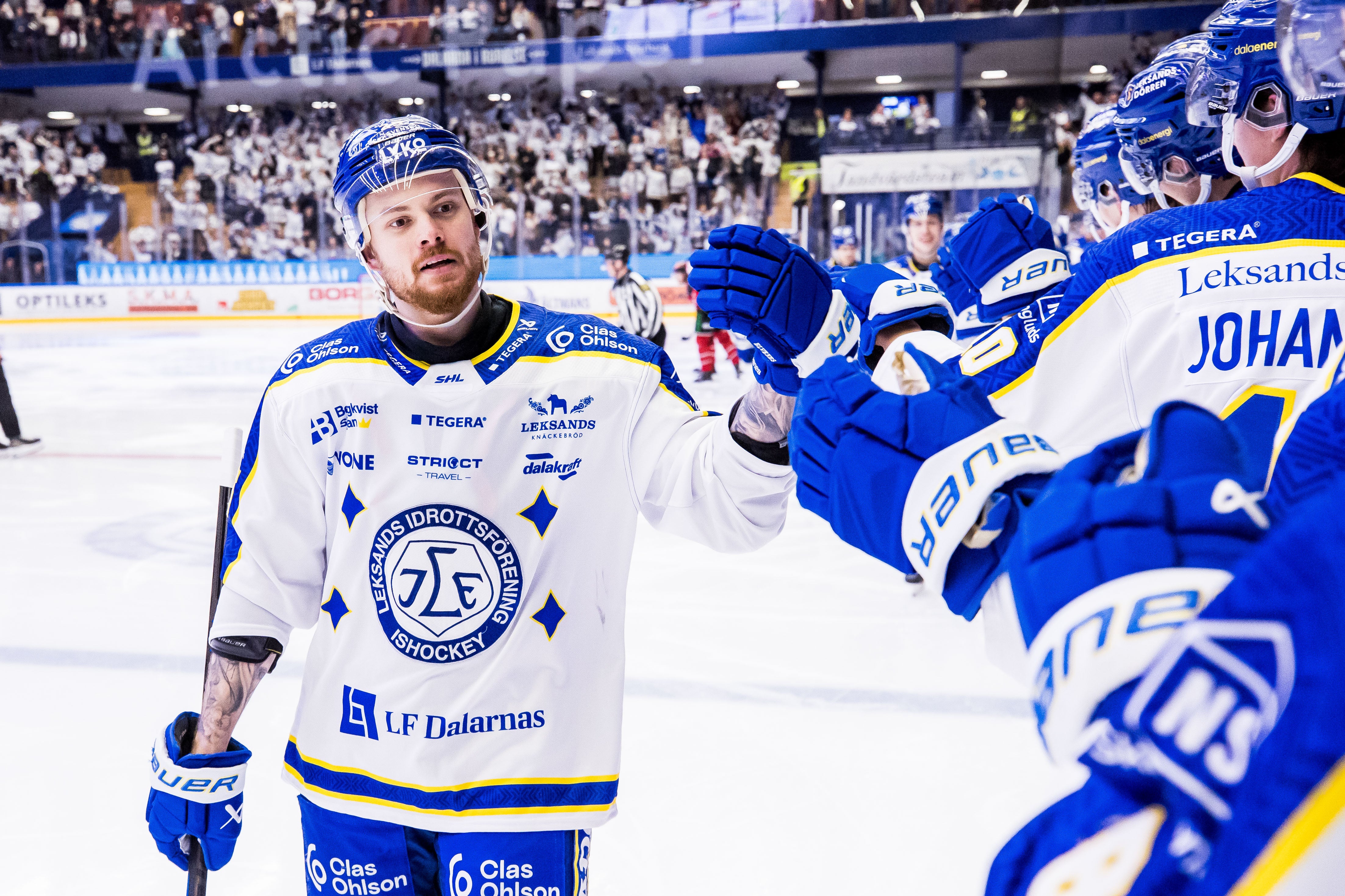 Brynäs Elvenes