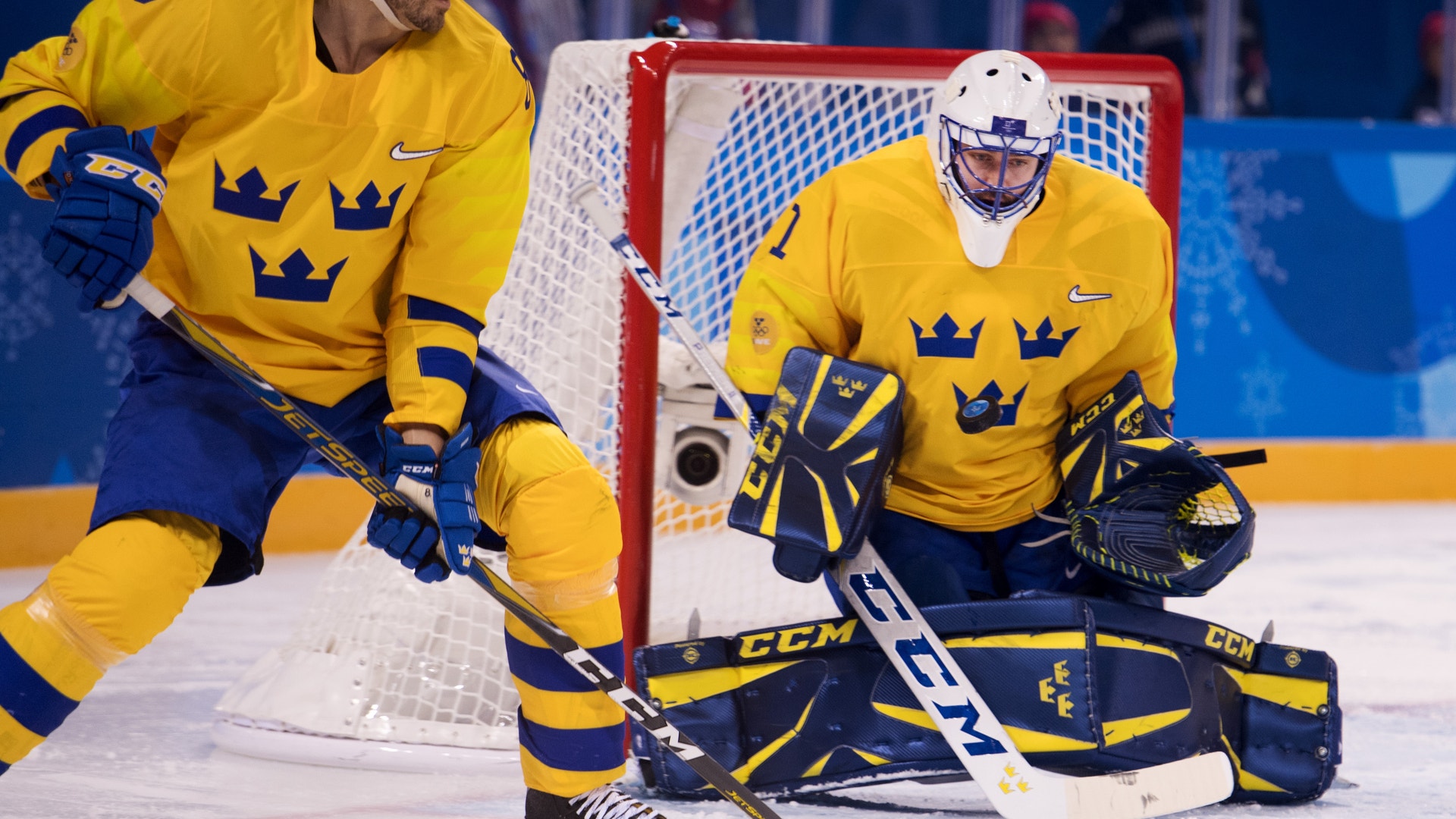 Petter Arvidson/Bildbyrån