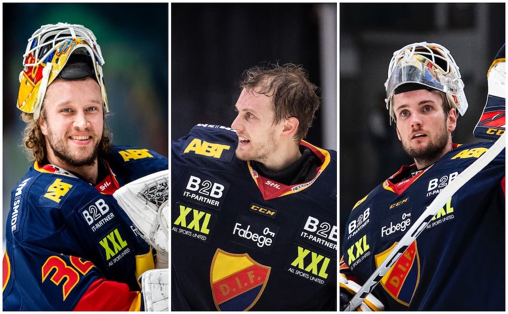 (10965) Djurgården/Rämö, Svedberg, Jensen