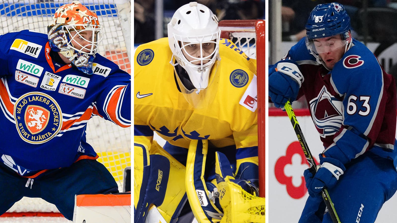 (20765) AHL-spelarna