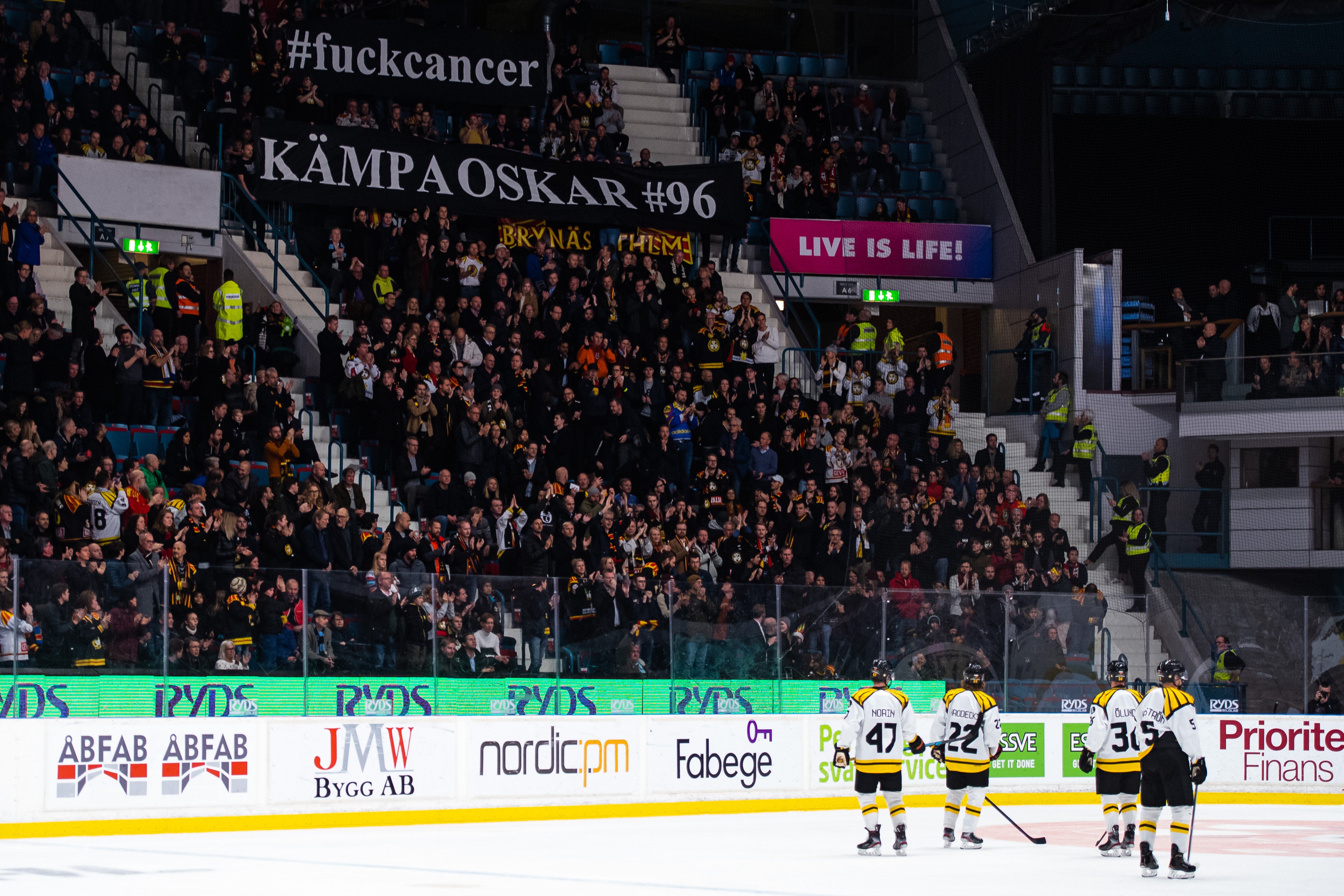 (11555) hovet2