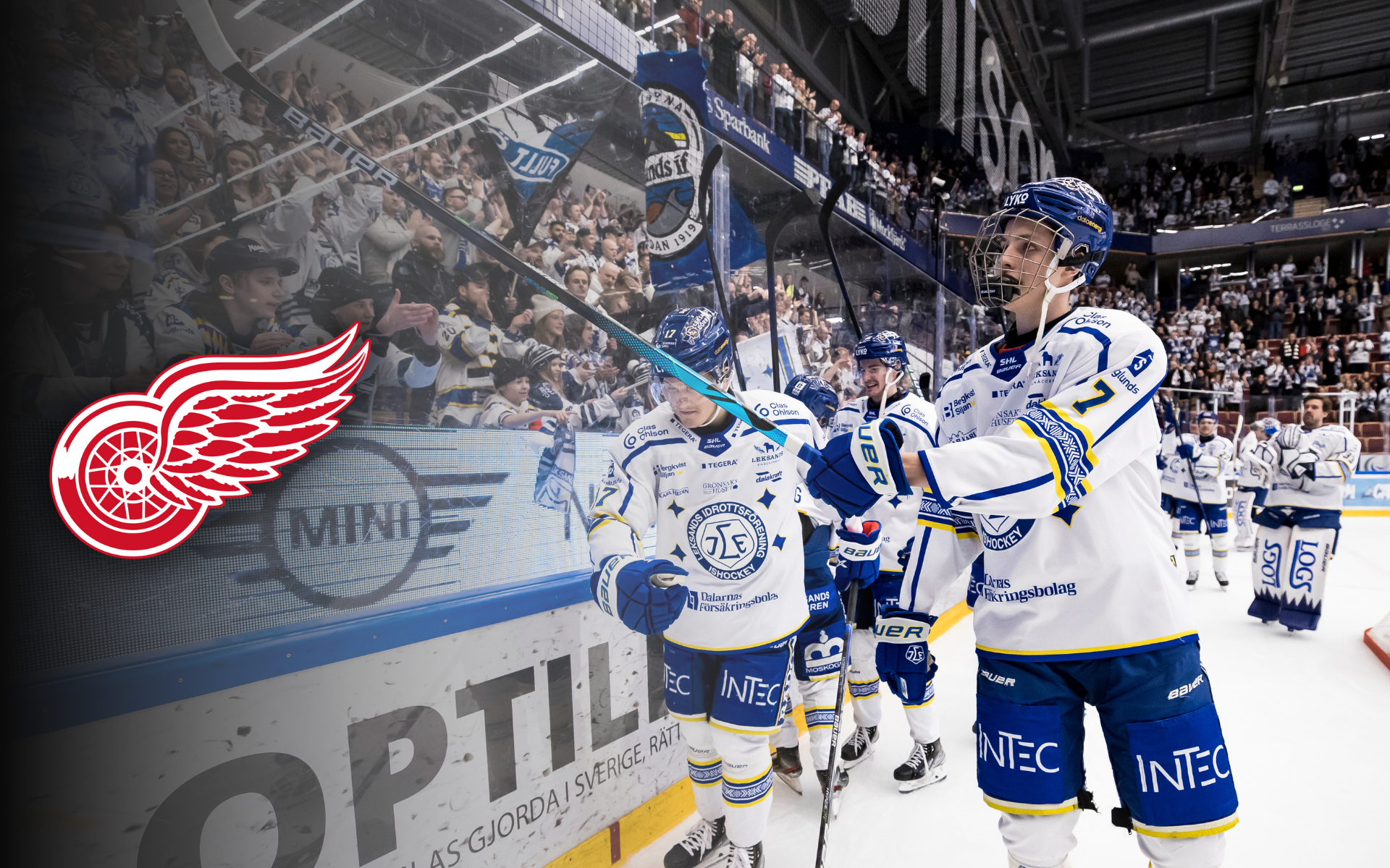 (24172) Anton Johansson