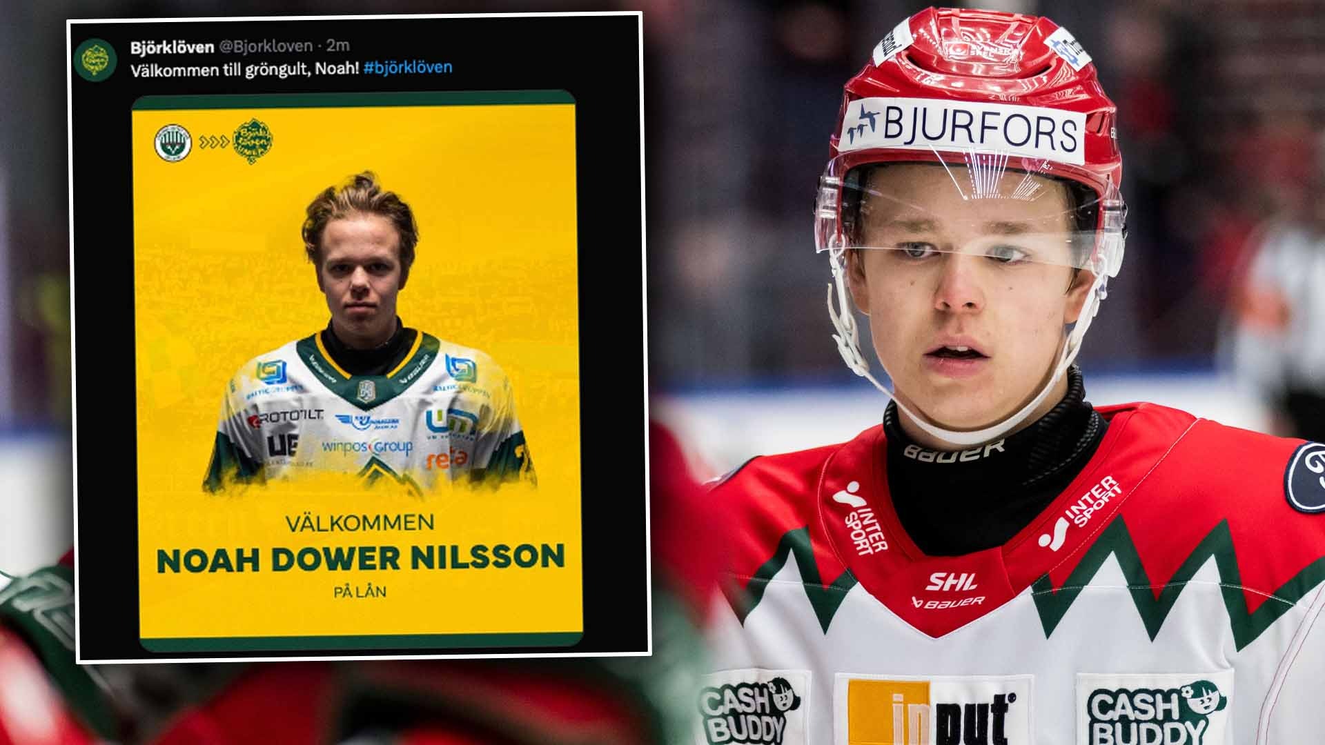 Bildbyrån / skärmdump X