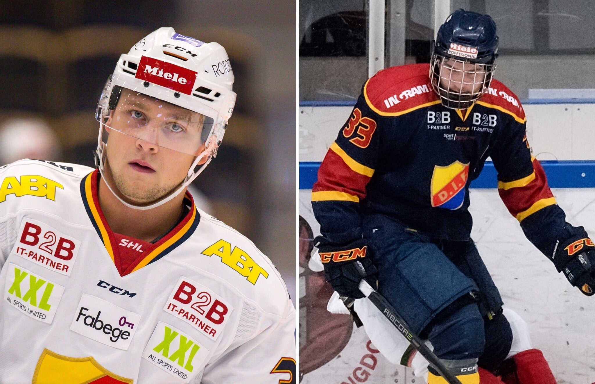 (4505) Pettersson/Björnfot