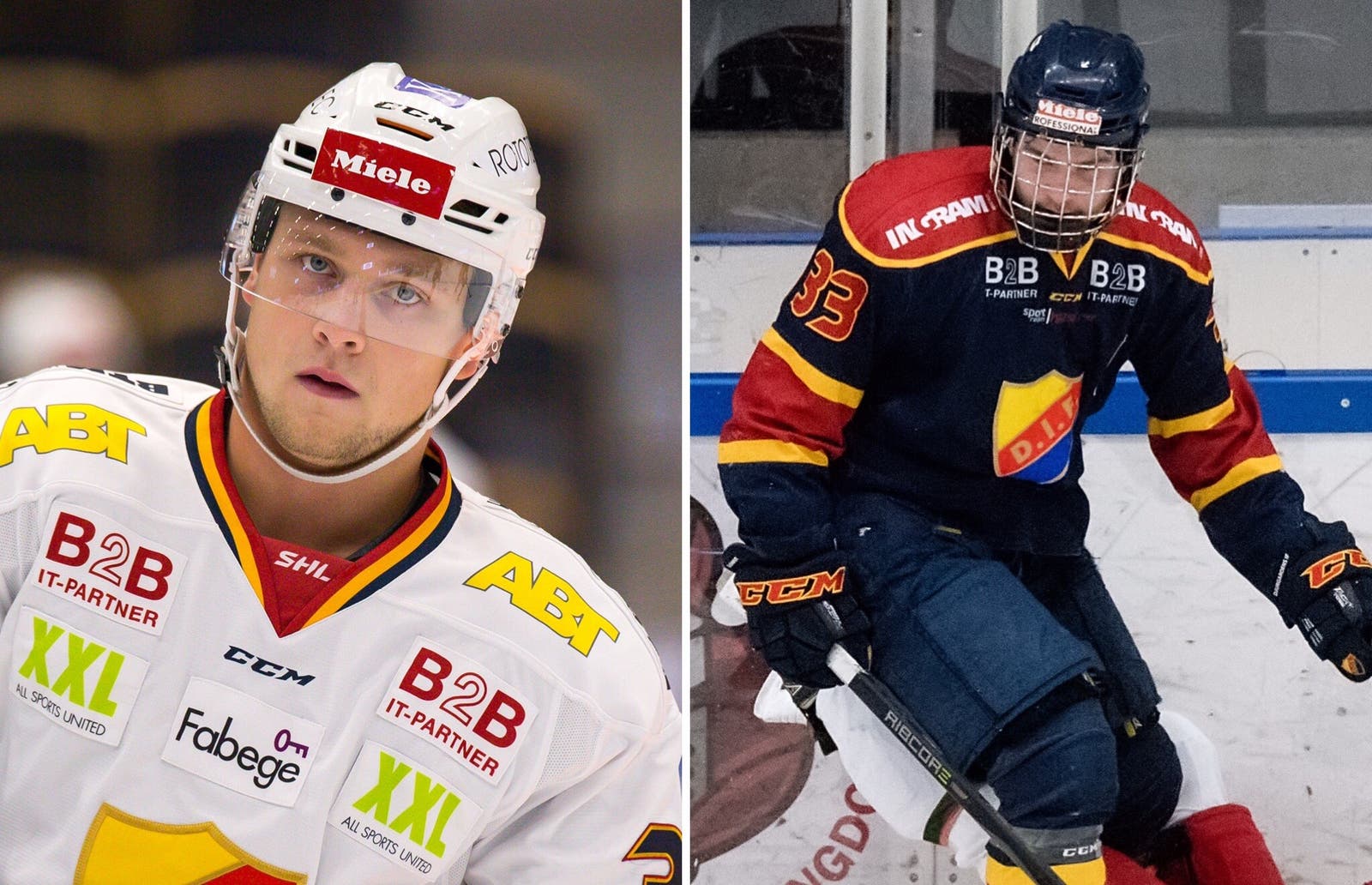 (4505) Pettersson/Björnfot