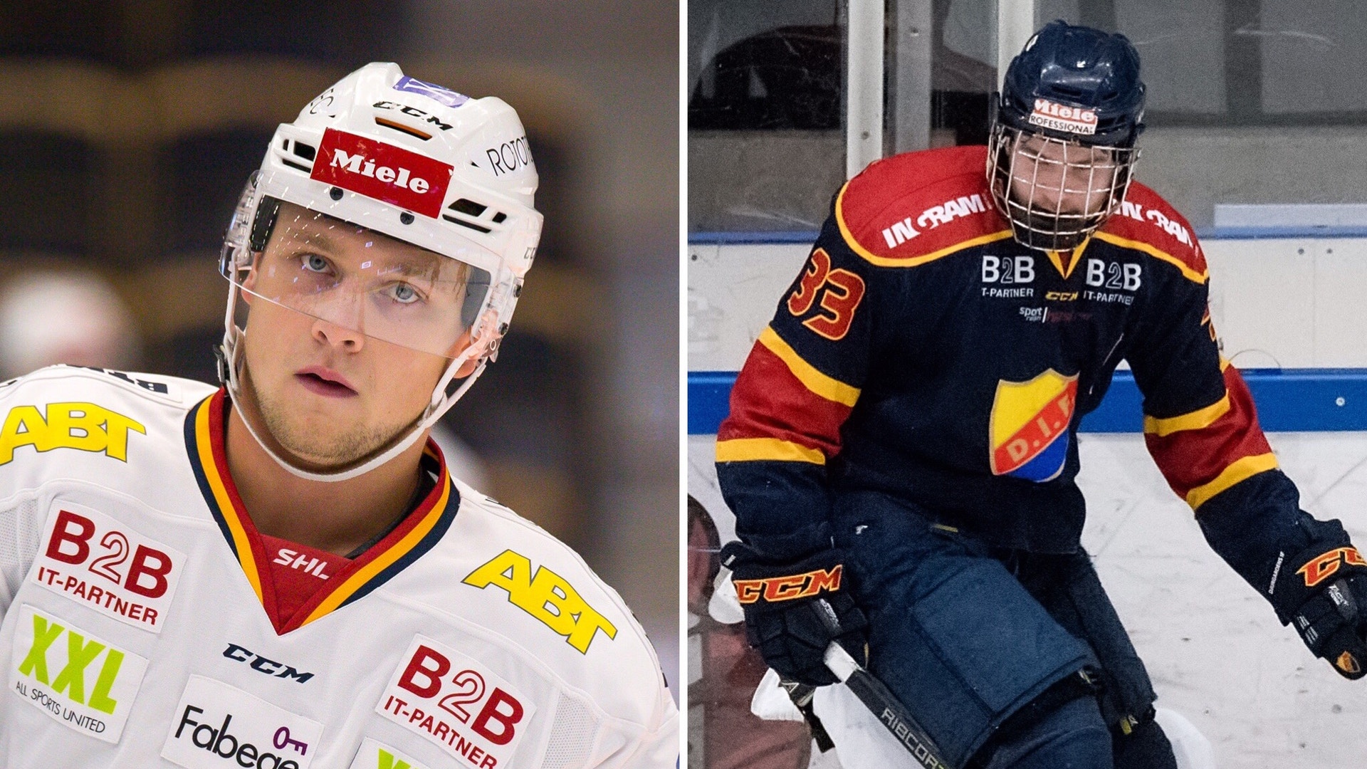 (4505) Pettersson/Björnfot