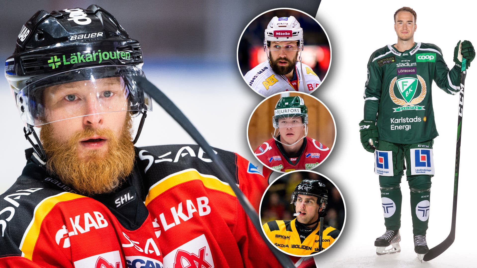 (15389) Enkät SHL poängkung