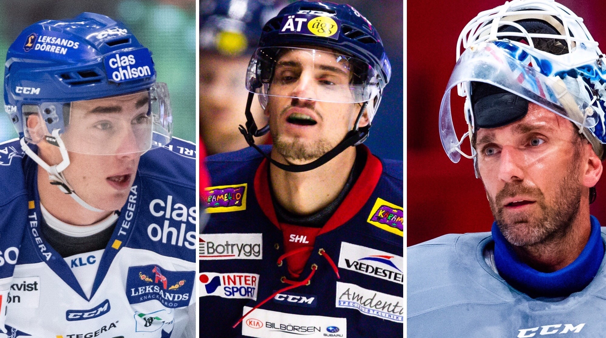 (8401) Forsberg/Bäckman/Lundqvist