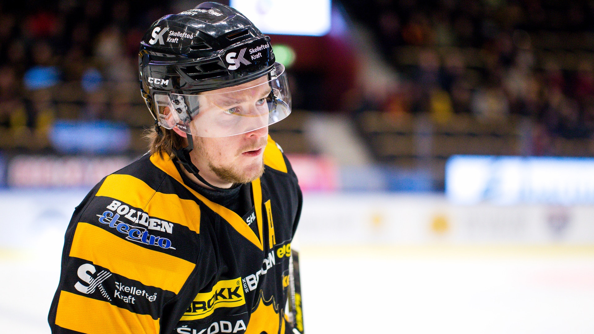 Ola Westerberg, Bildbyrån