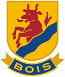 Mariestad BoIS HC