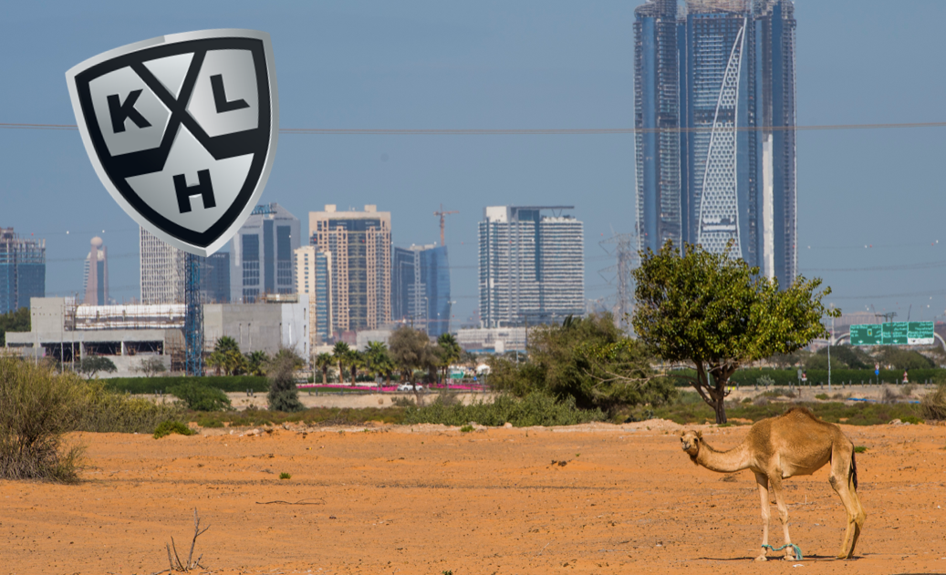 (6862) Kamel i Dubai