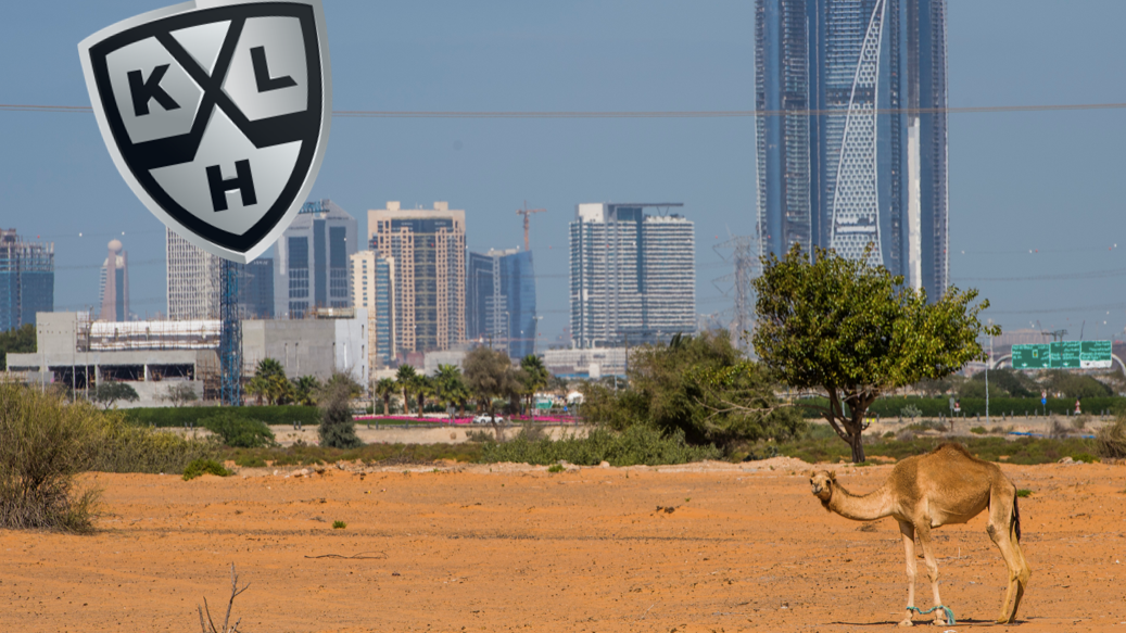 (6862) Kamel i Dubai