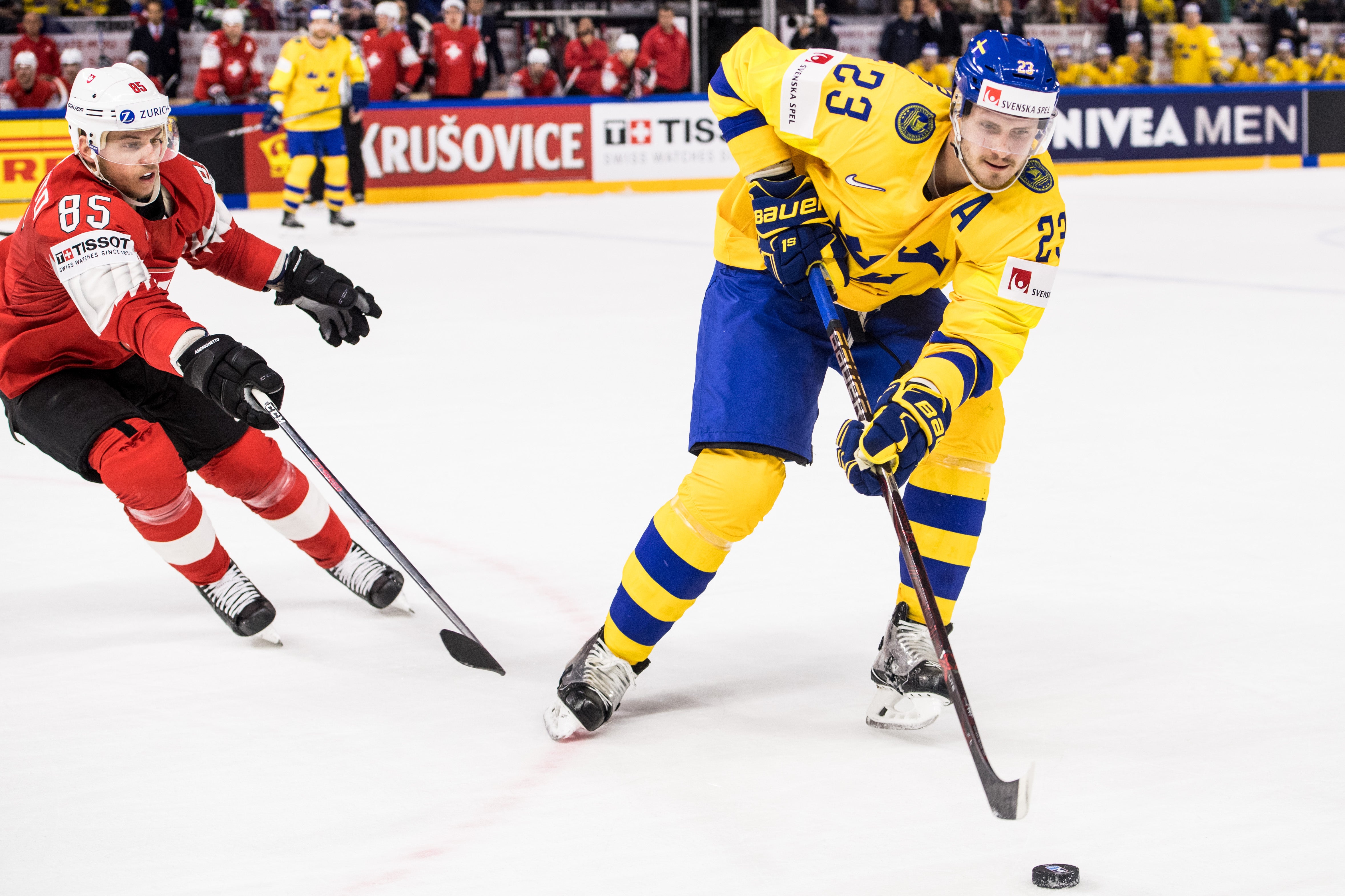 Petter Arvidson/Bildbyrån