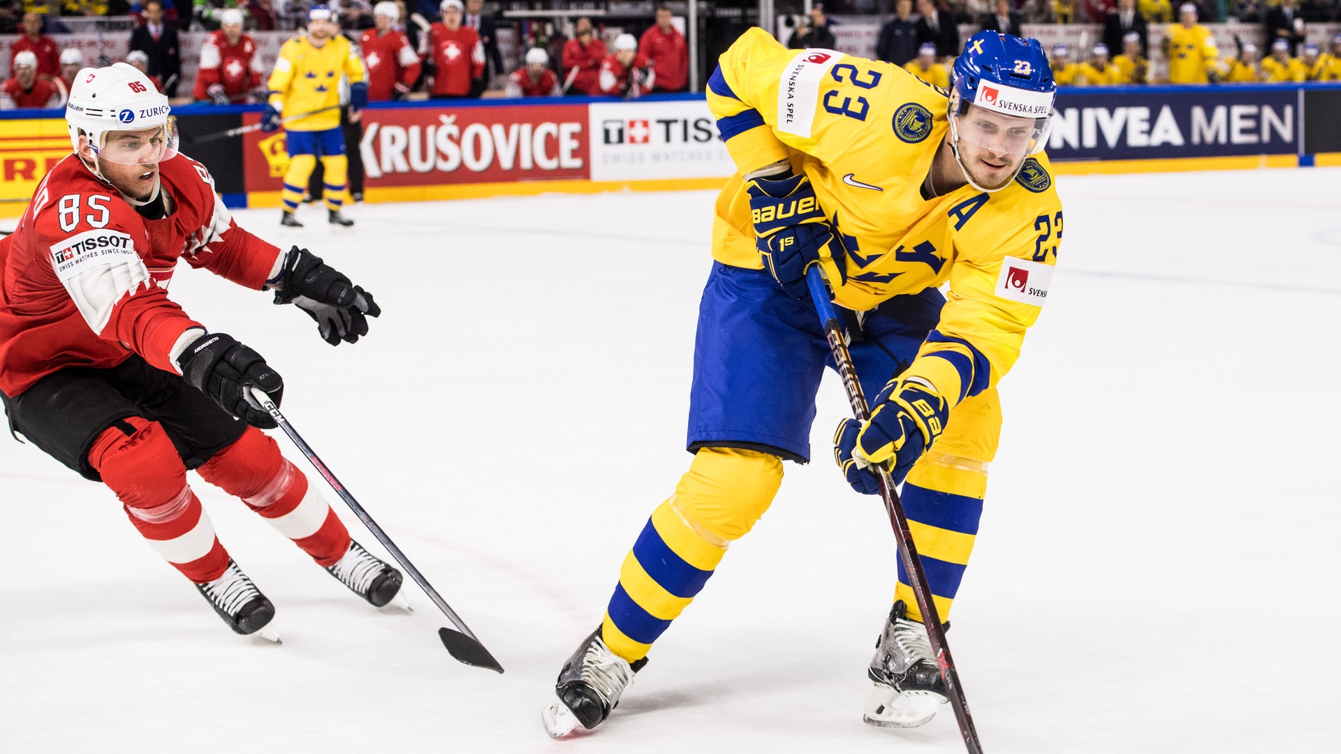 Petter Arvidson/Bildbyrån