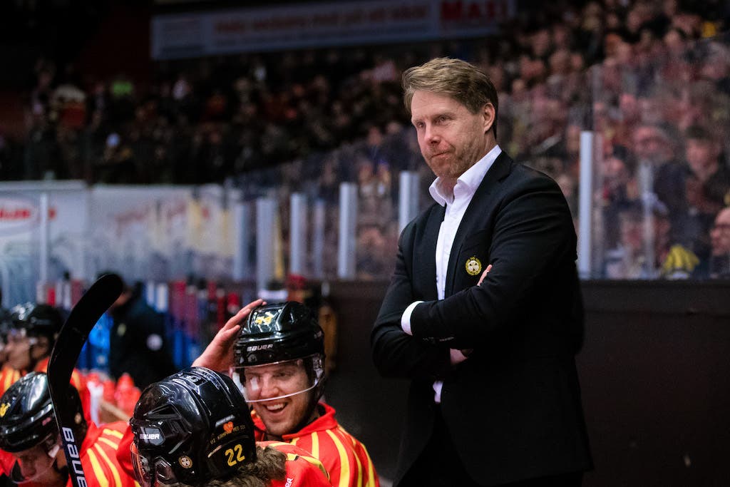 (14014) Andreas Dackell/Brynäs