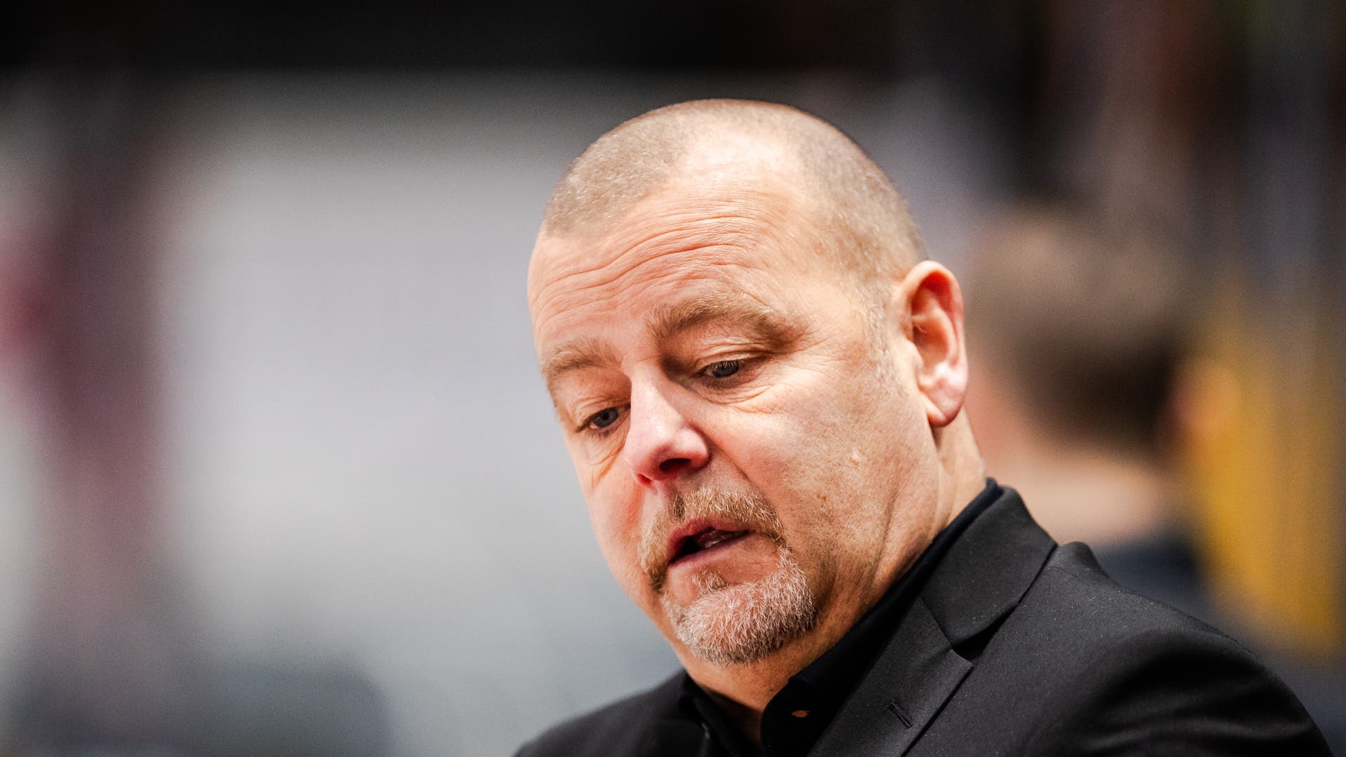 Niklas Gällstedt